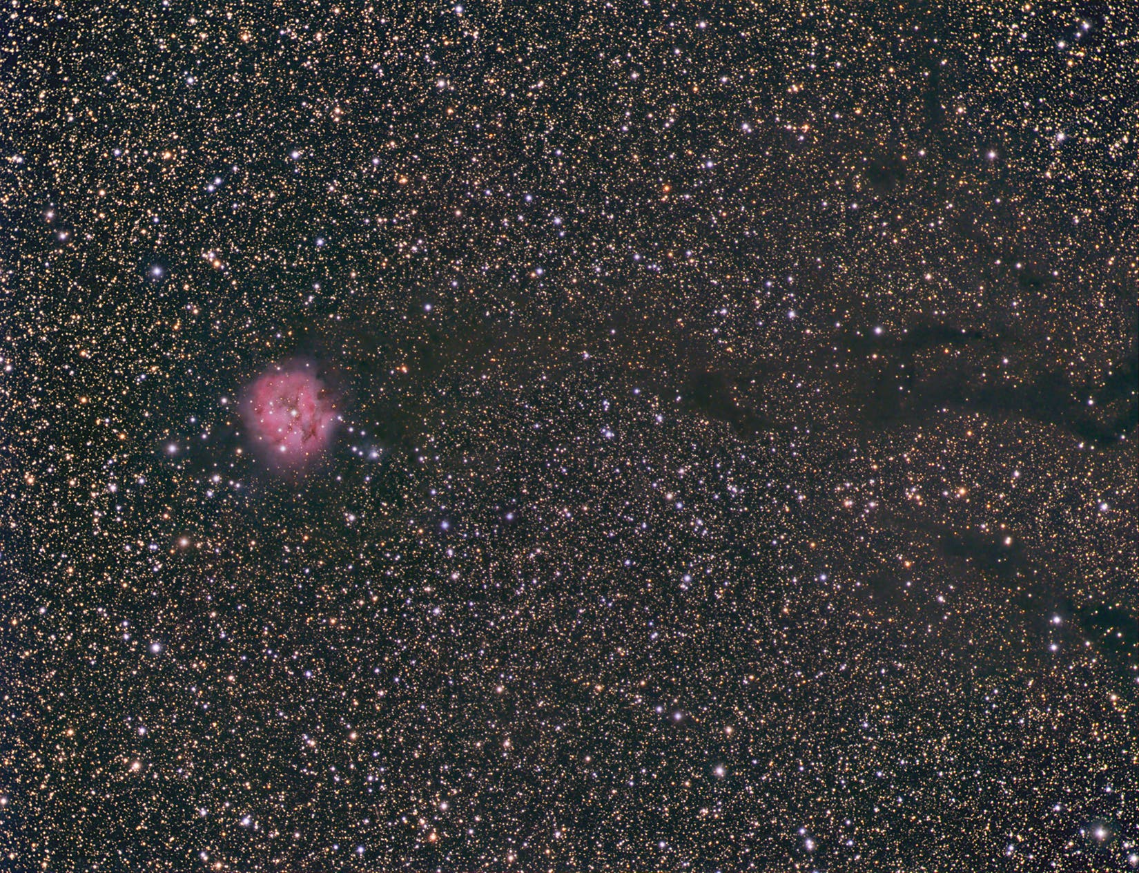 IC 5146 Cocoonnebel mit Dunkelnebel Bernard 168 Widefield