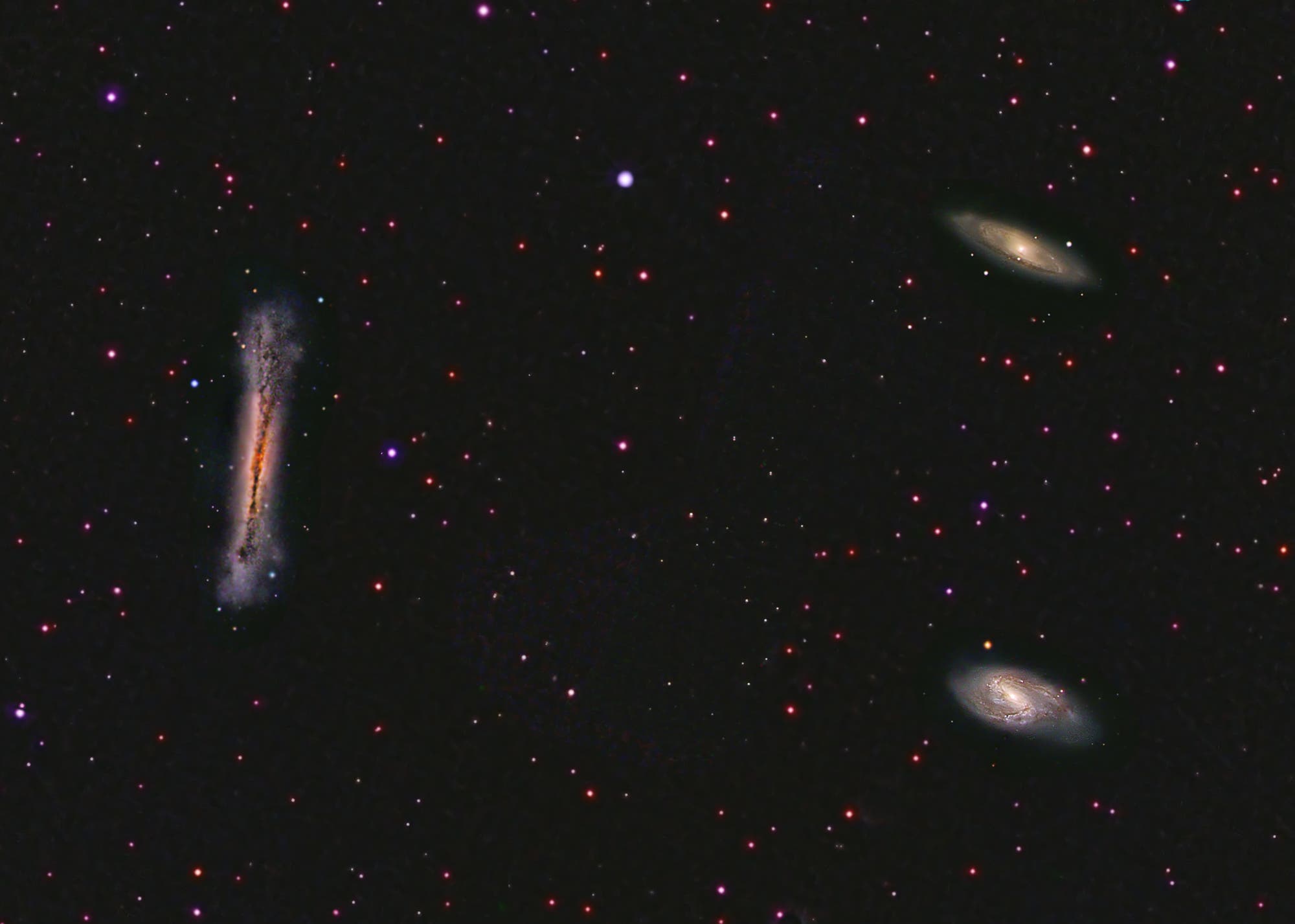 Leo Triplet: NGC 3628, M65 und M66