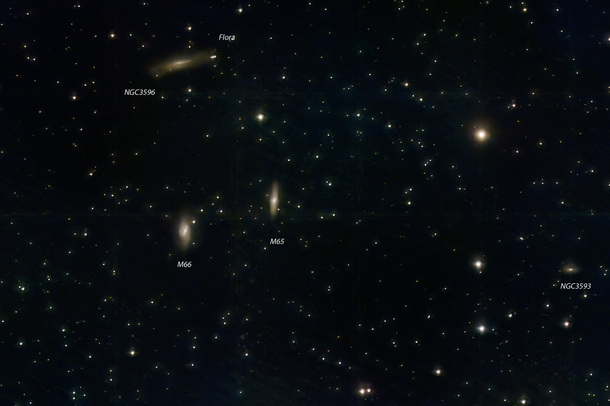 Asteroid Flora passiert das Leo-Triplett