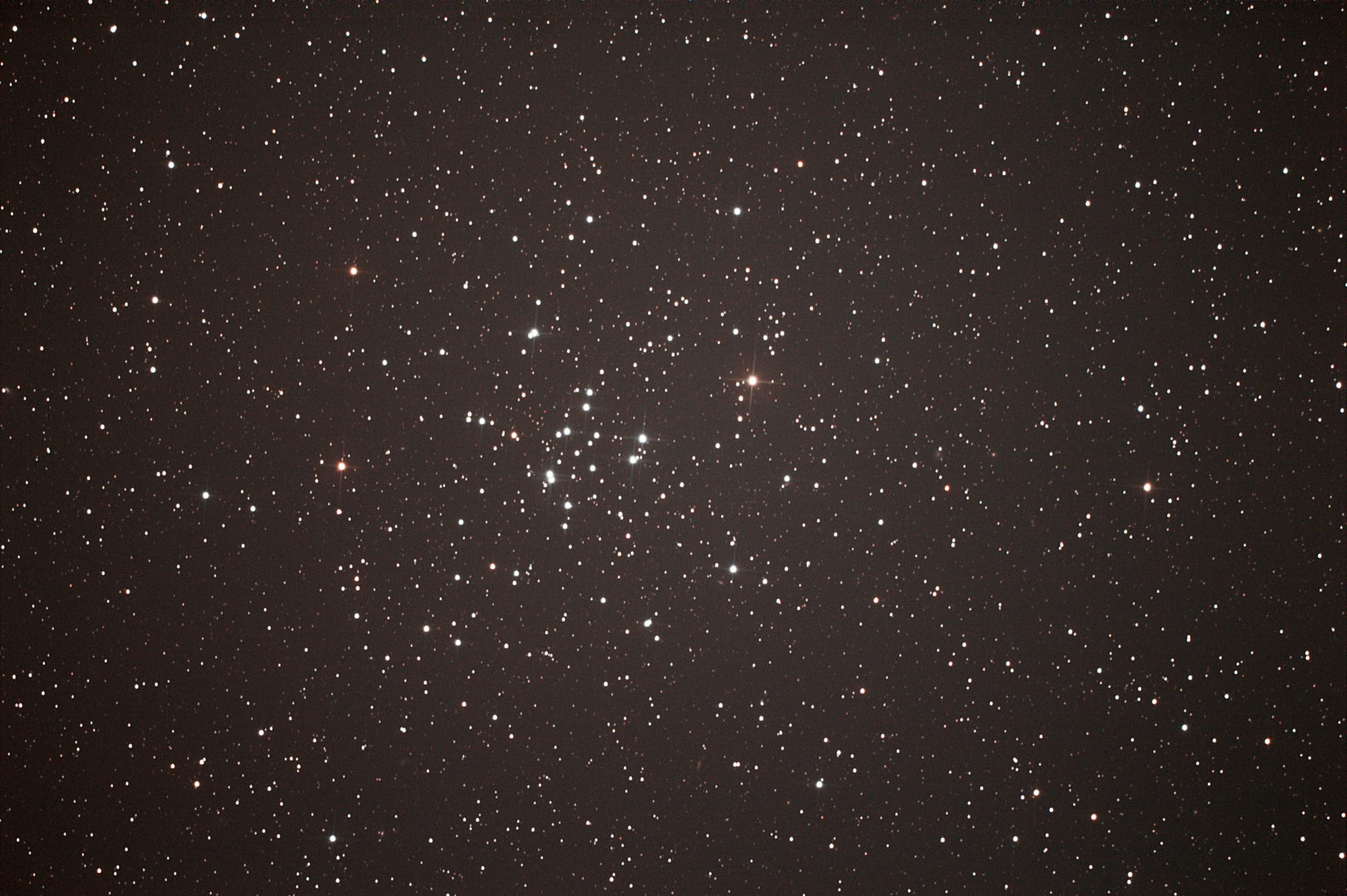 offener Sternhaufen M 34 im Sternbild Perseus