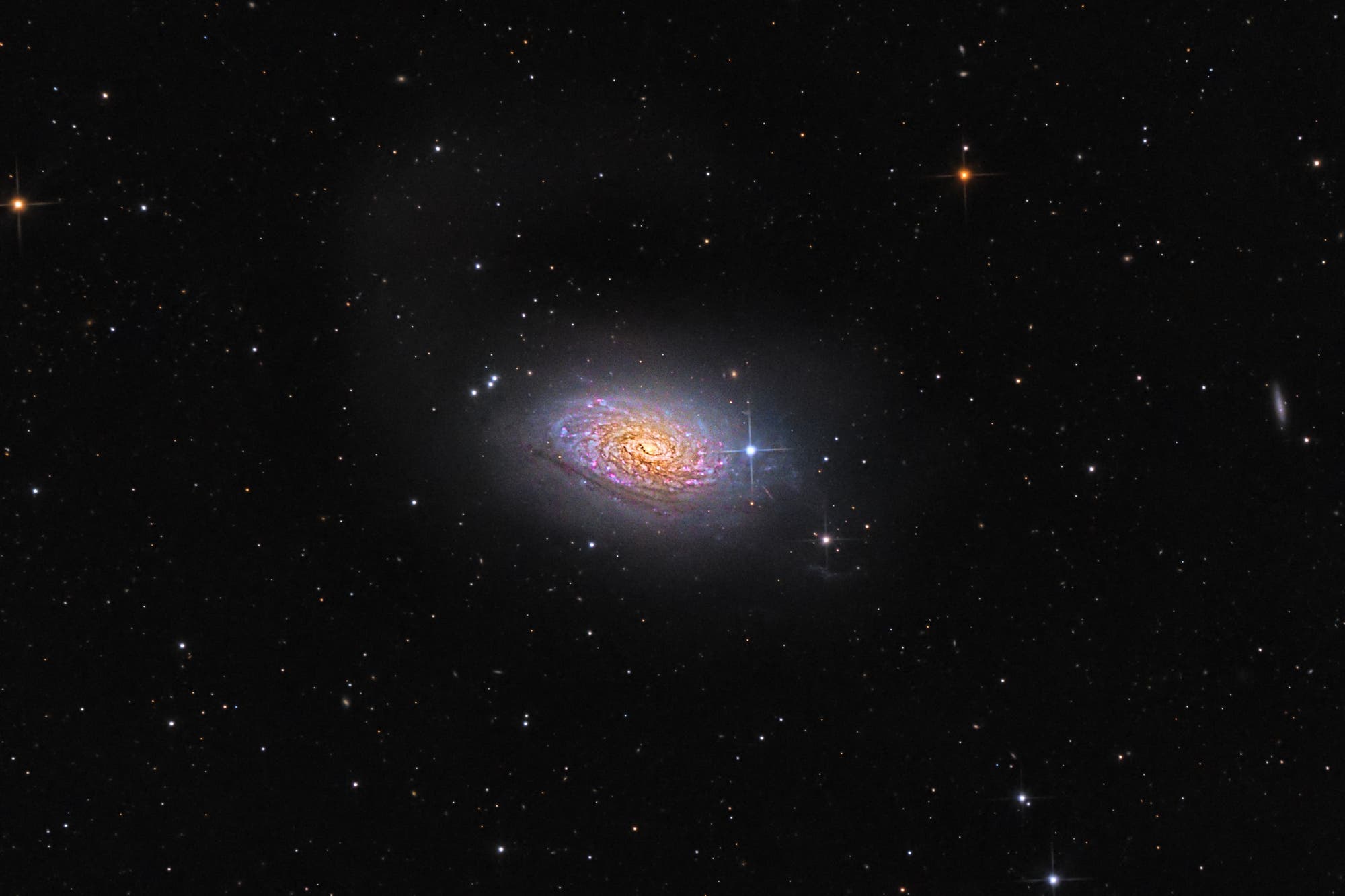 Sonnenblumen-Galaxie, Messier 63