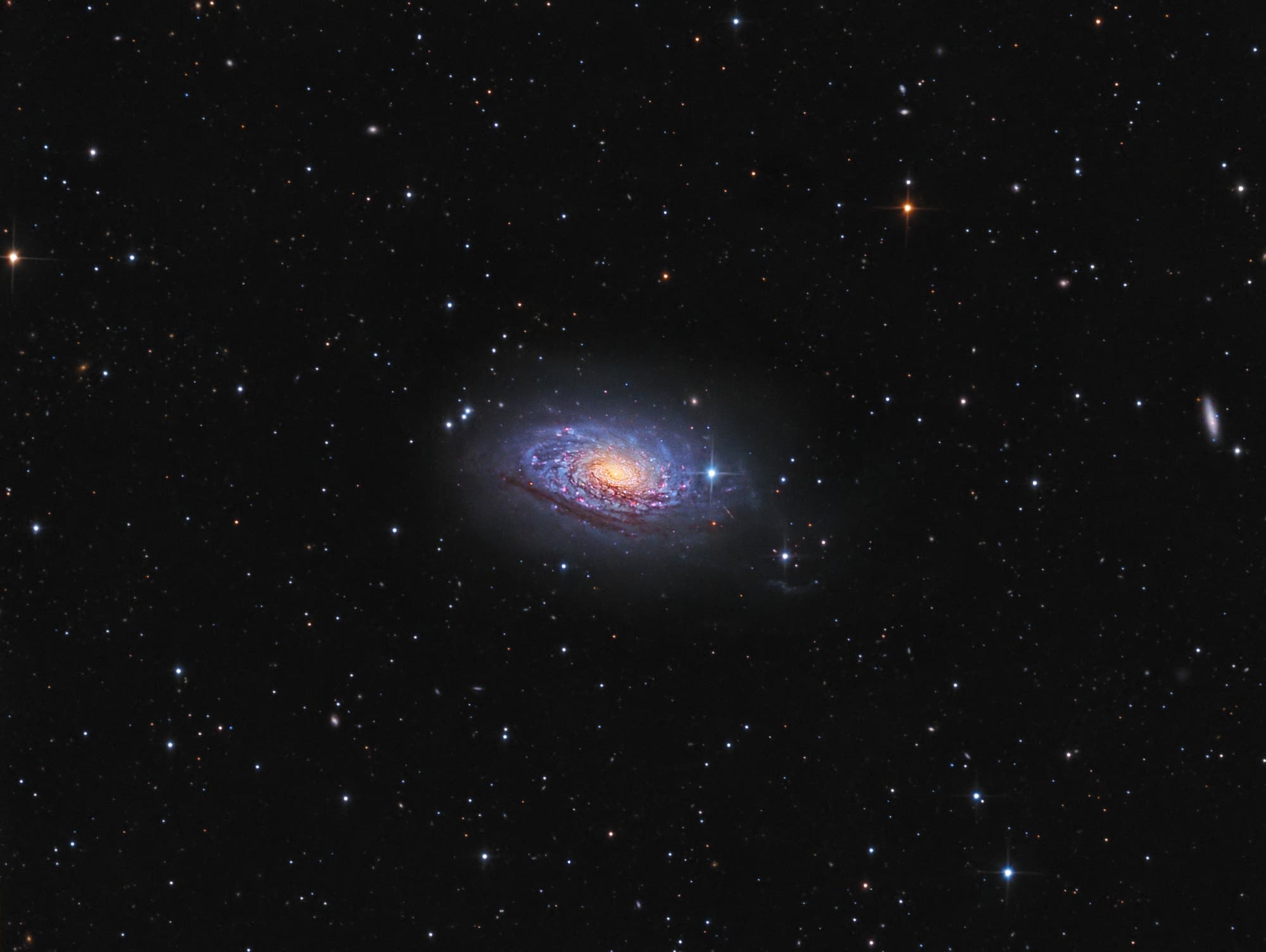 Messier 63 - Sonnenblumengalaxie