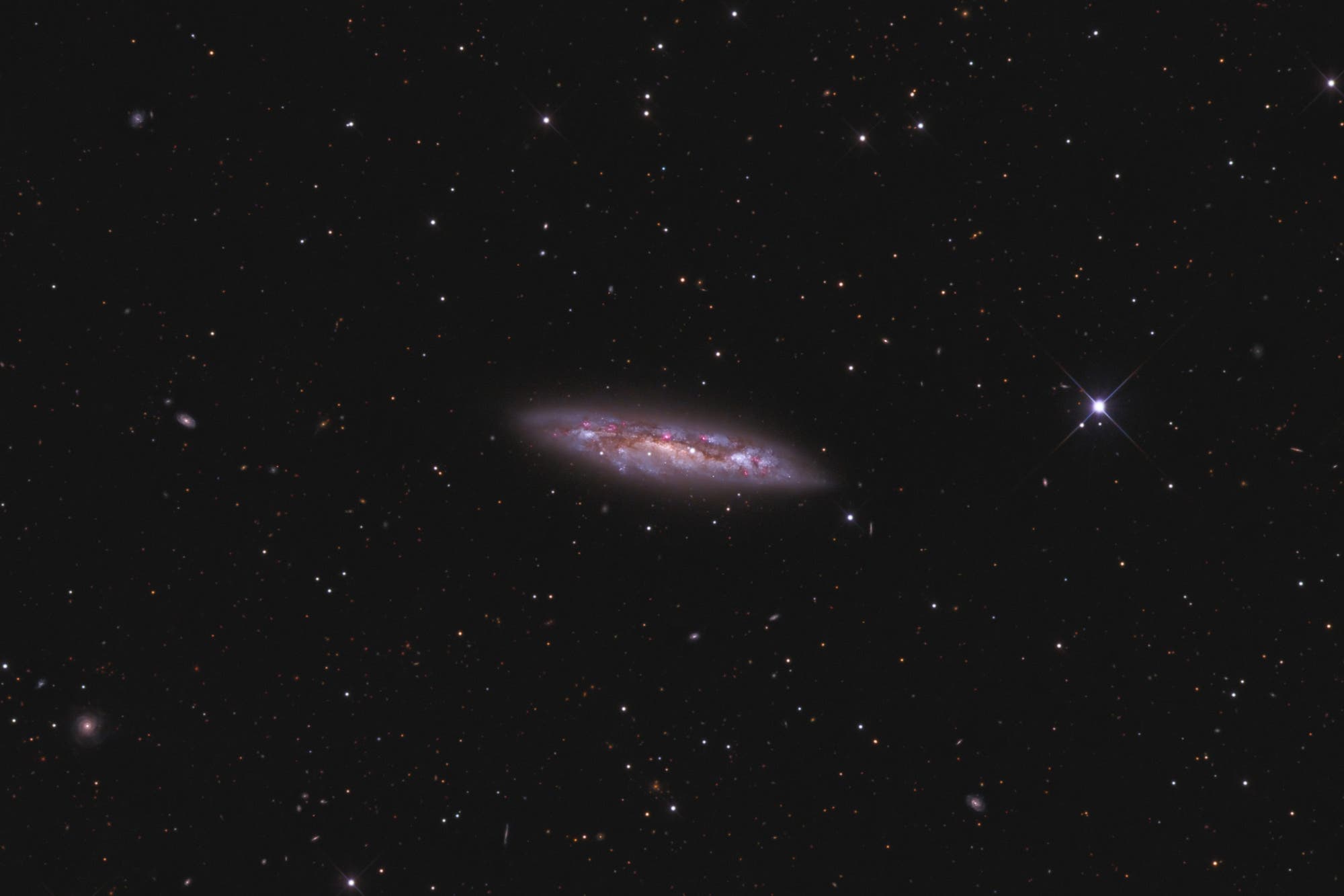 Messier 108 (NGC 3556), die sogenannte Surfboard-Galaxie