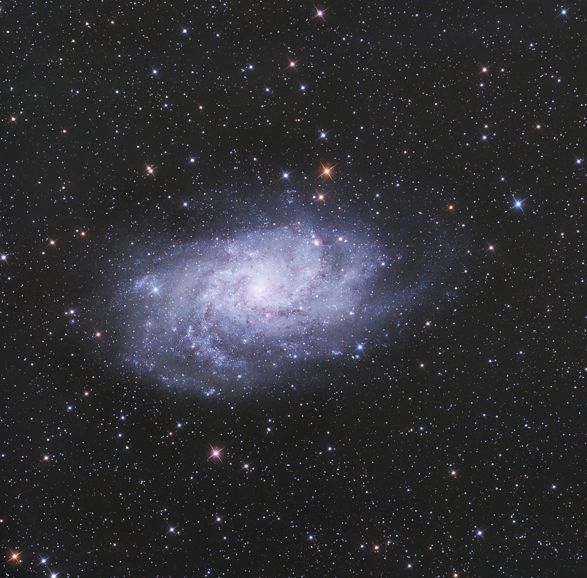 M 33