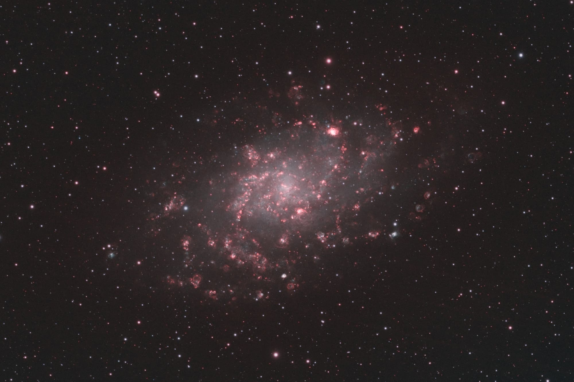 Triangulum-Galaxie (M33) in HO