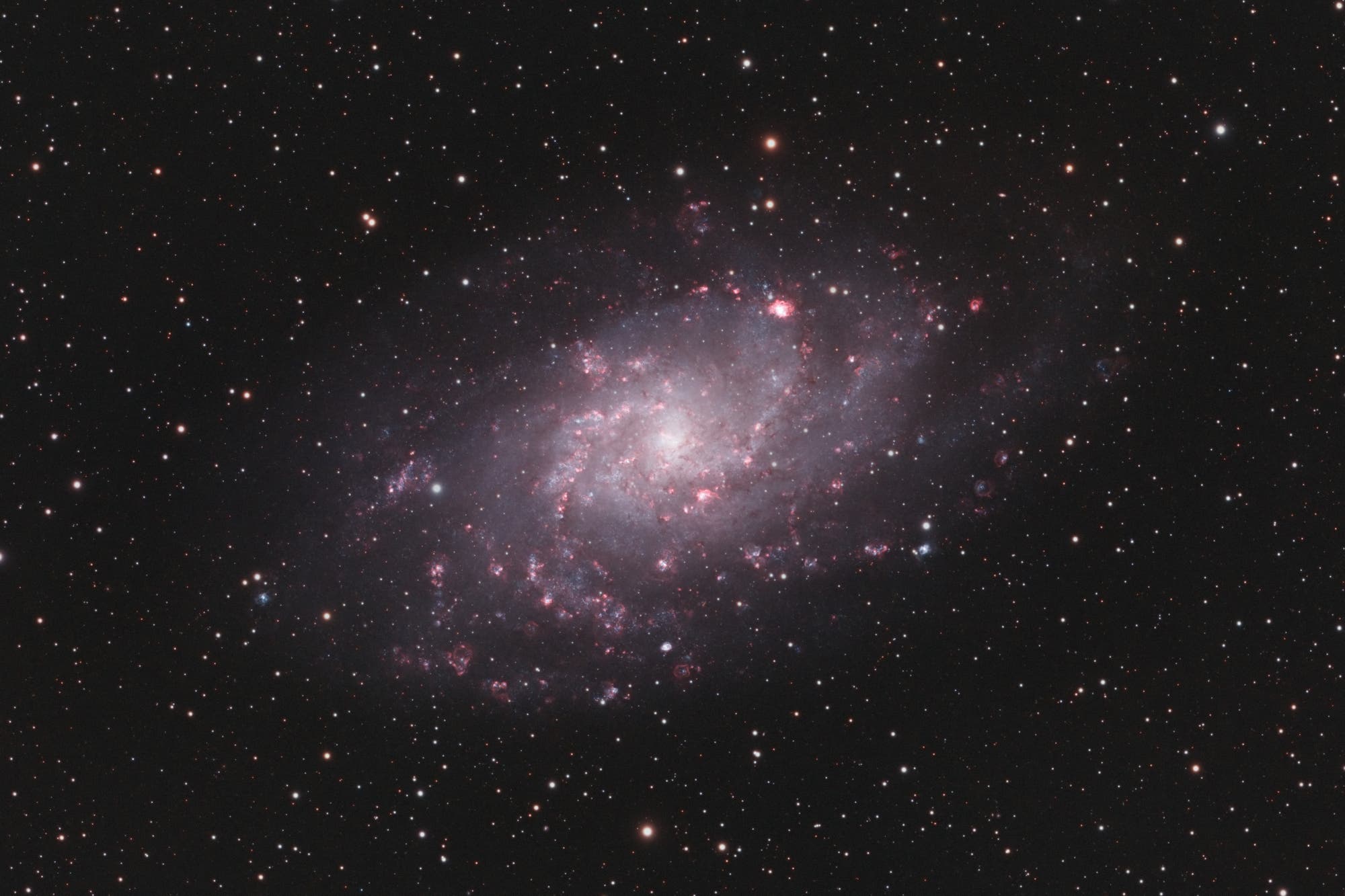 Dreiecksgalaxie / M33 in RGBHO