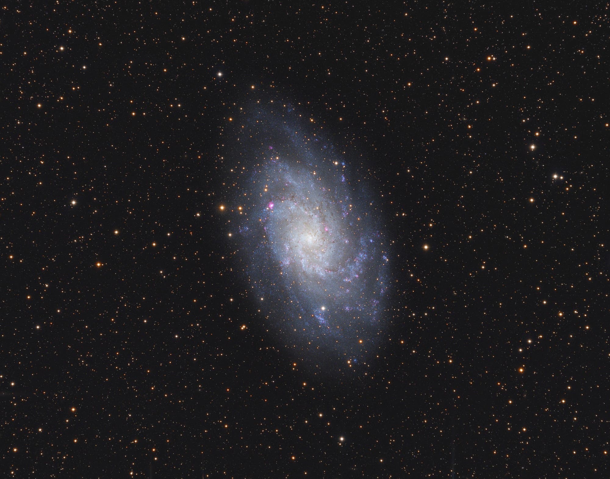 Messier 33, die Dreiecksgalaxie