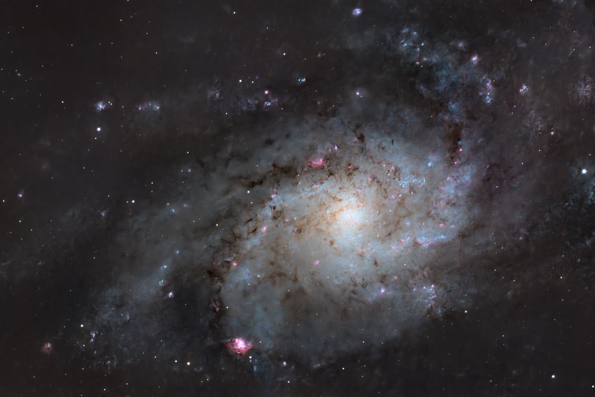 Messier 33 - Dreiecksgalaxie