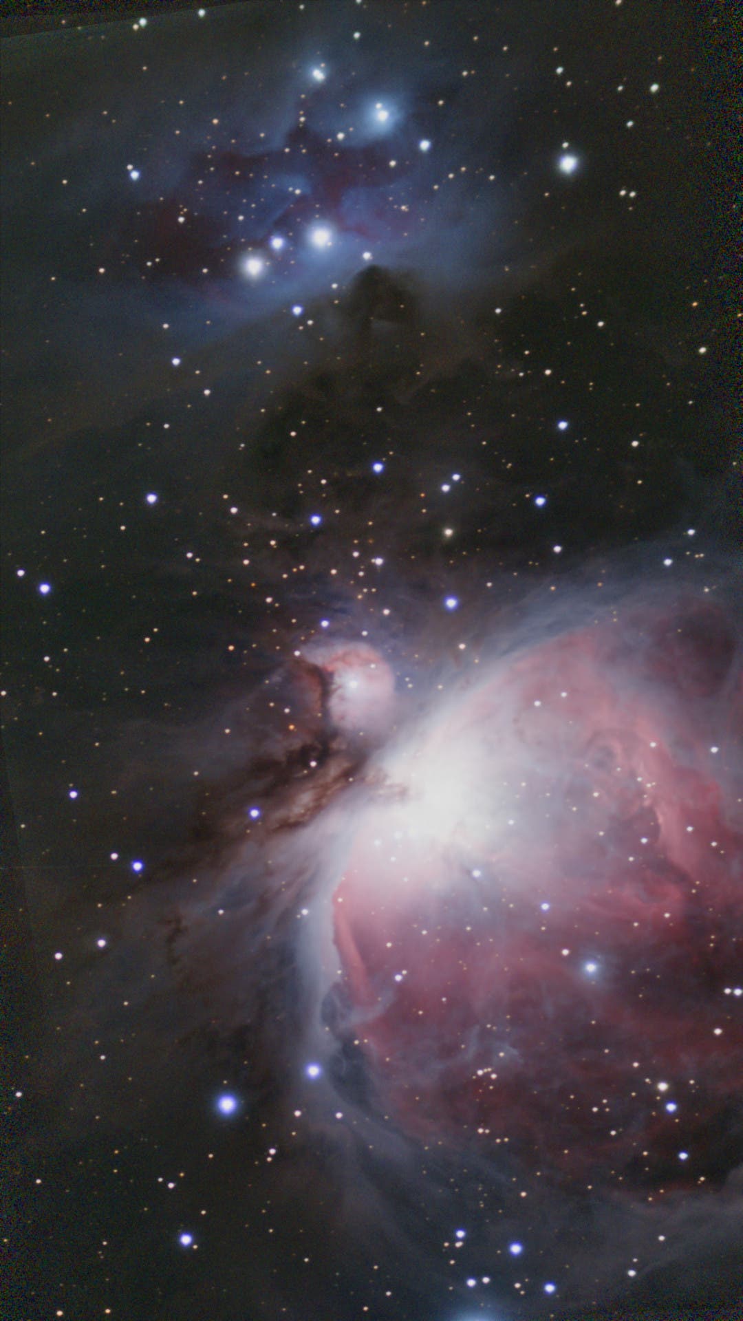 Großer Orionnebel M42 und Running Man (Seestar S50-Aufnahme)