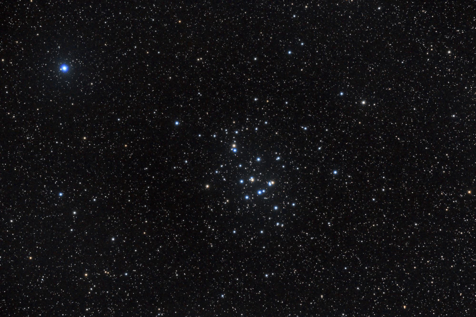 M44 - Die himmlische Krippe