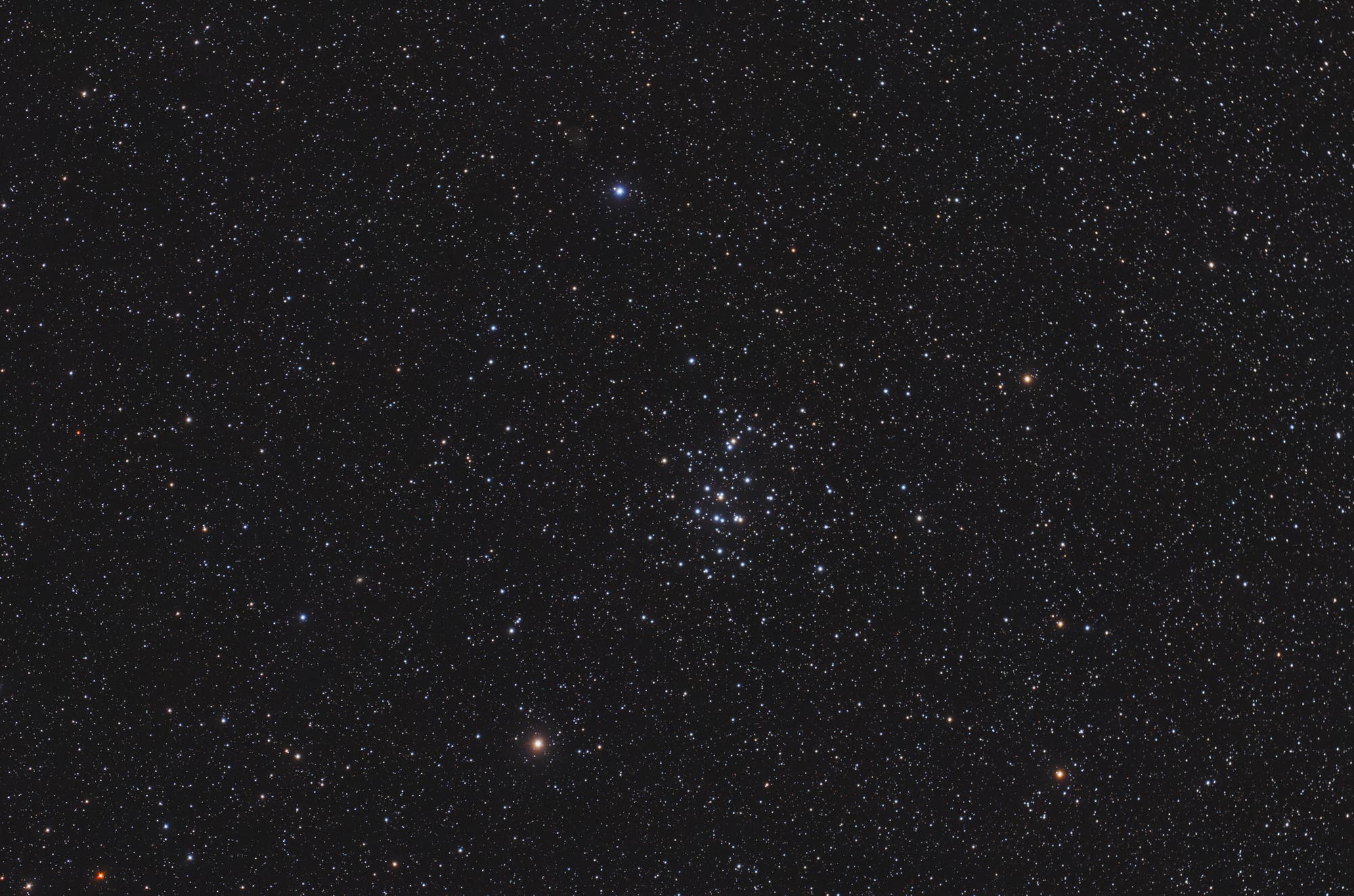 Messier 44 Praesepe