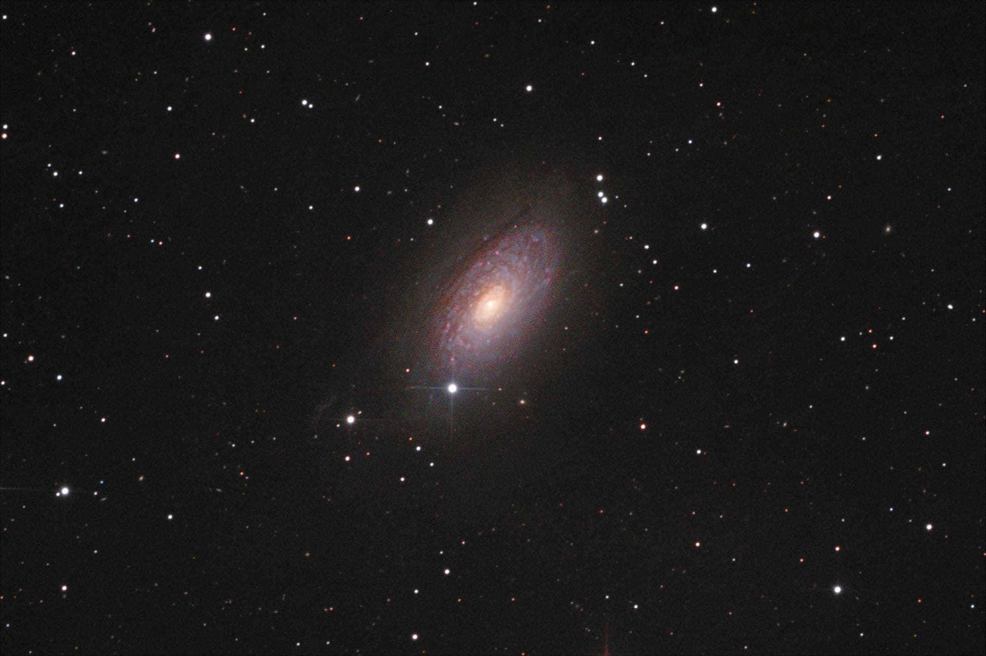 Sonnenblumengalaxie Messier 63 - dreifach gedrizzelte Version