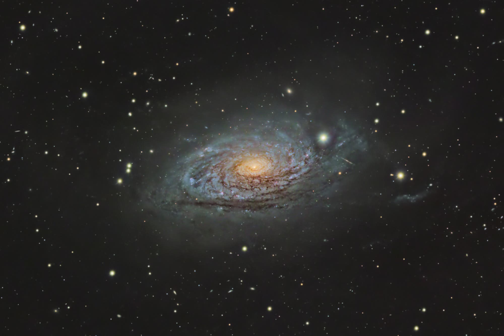 M 63 - Sonnenblumen-Galaxie
