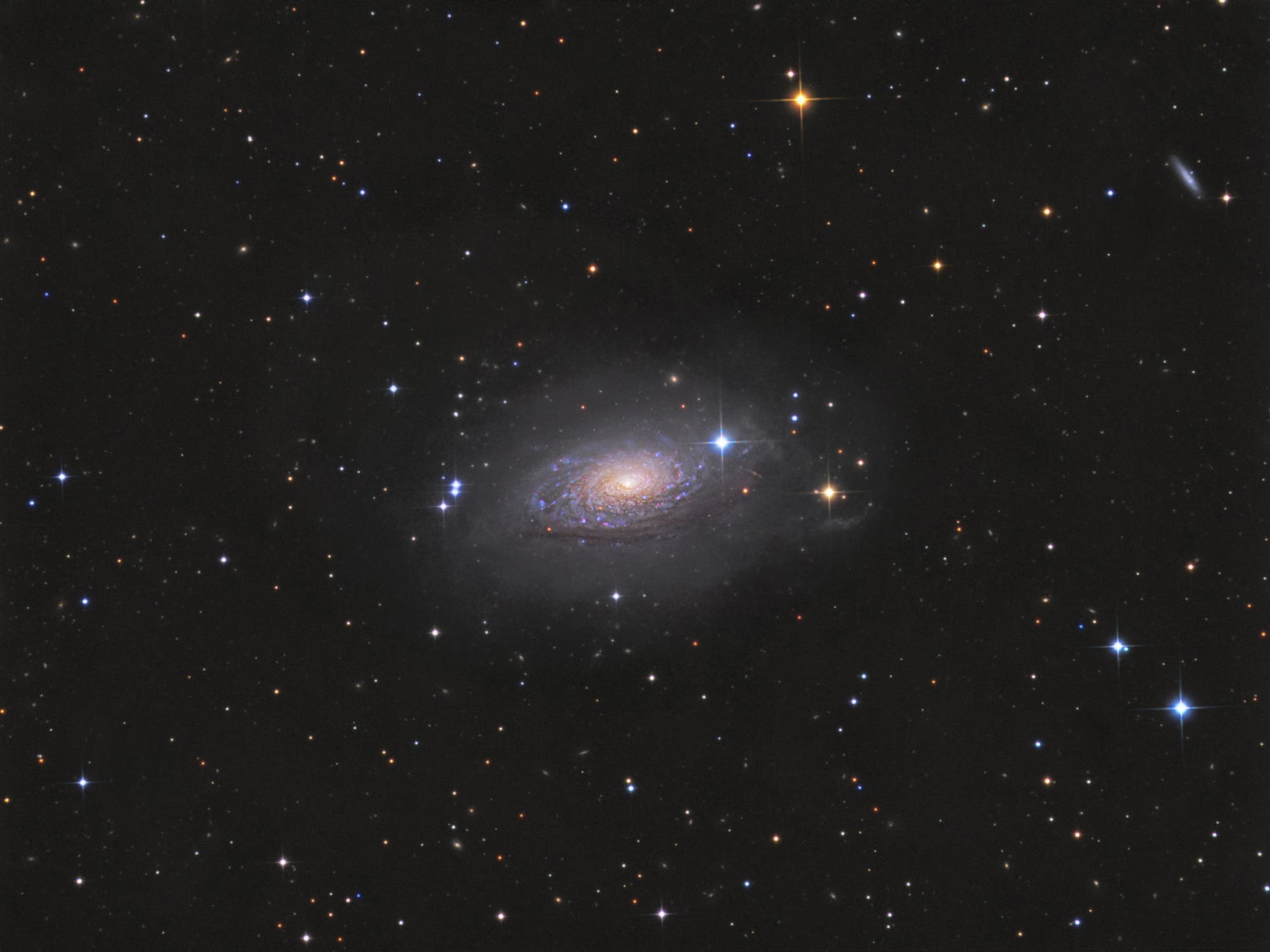 Messier 63 - Sonnenblumengalaxie