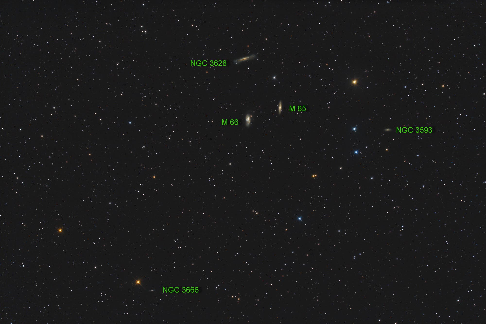 M65, M66 und NGC 3628 (Objekte)