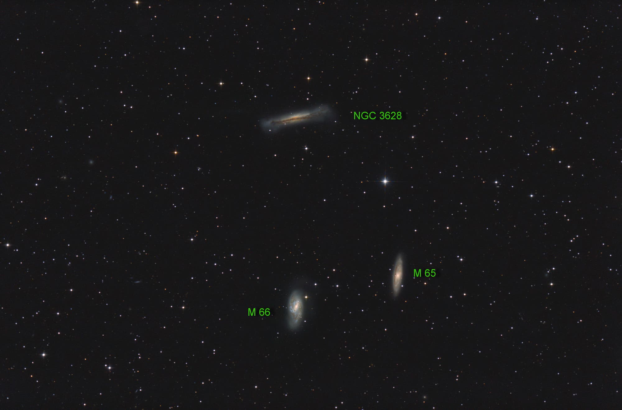 M65, M66 und NGC 3628 (Objekte)