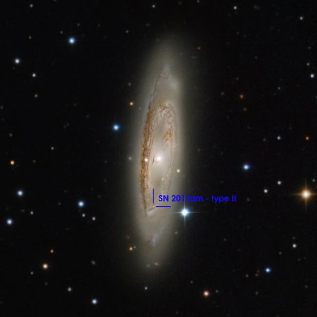 The supernova in M65 / SN 2013am