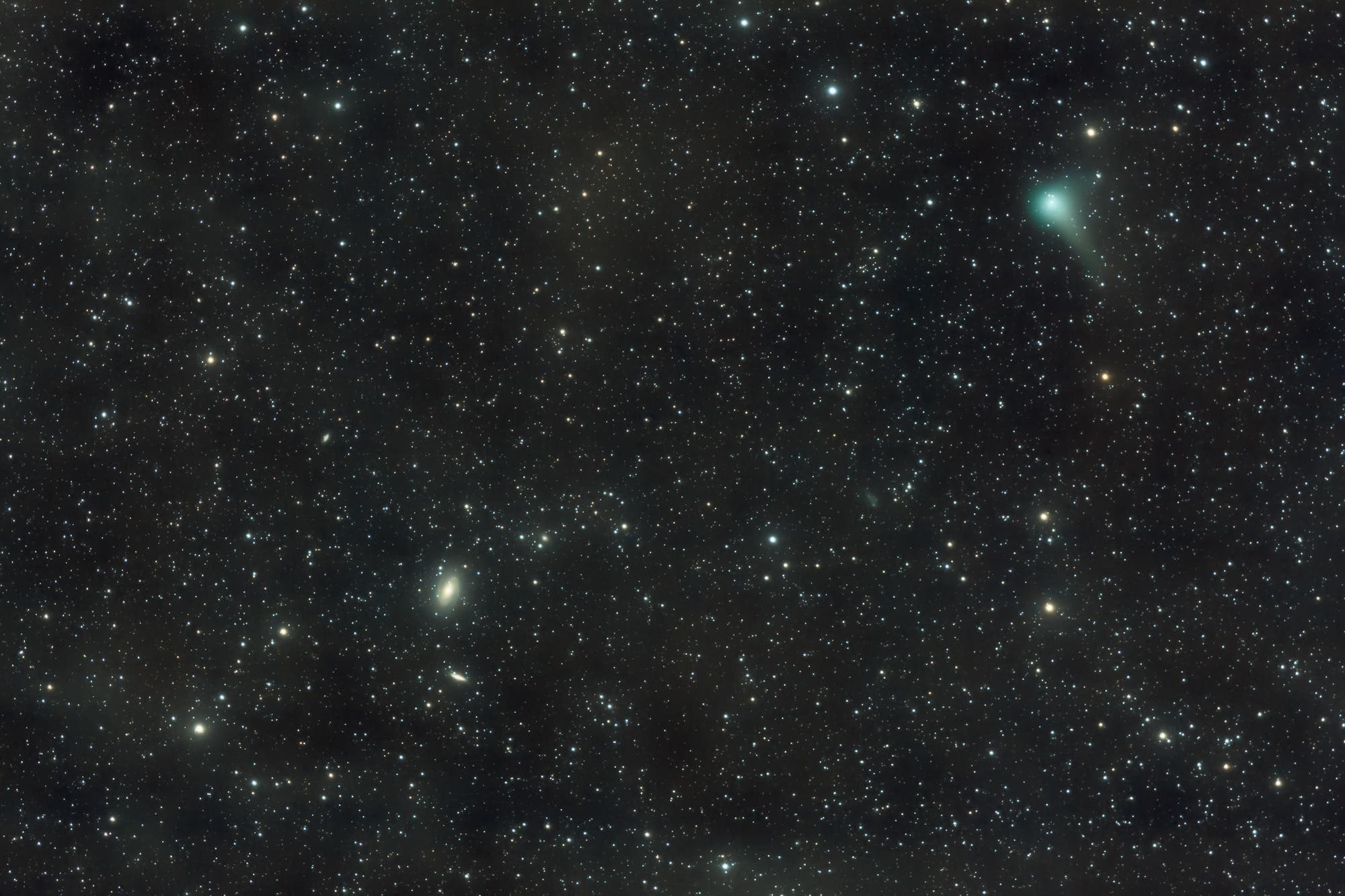 Messier 81, 82 und Komet Garradd