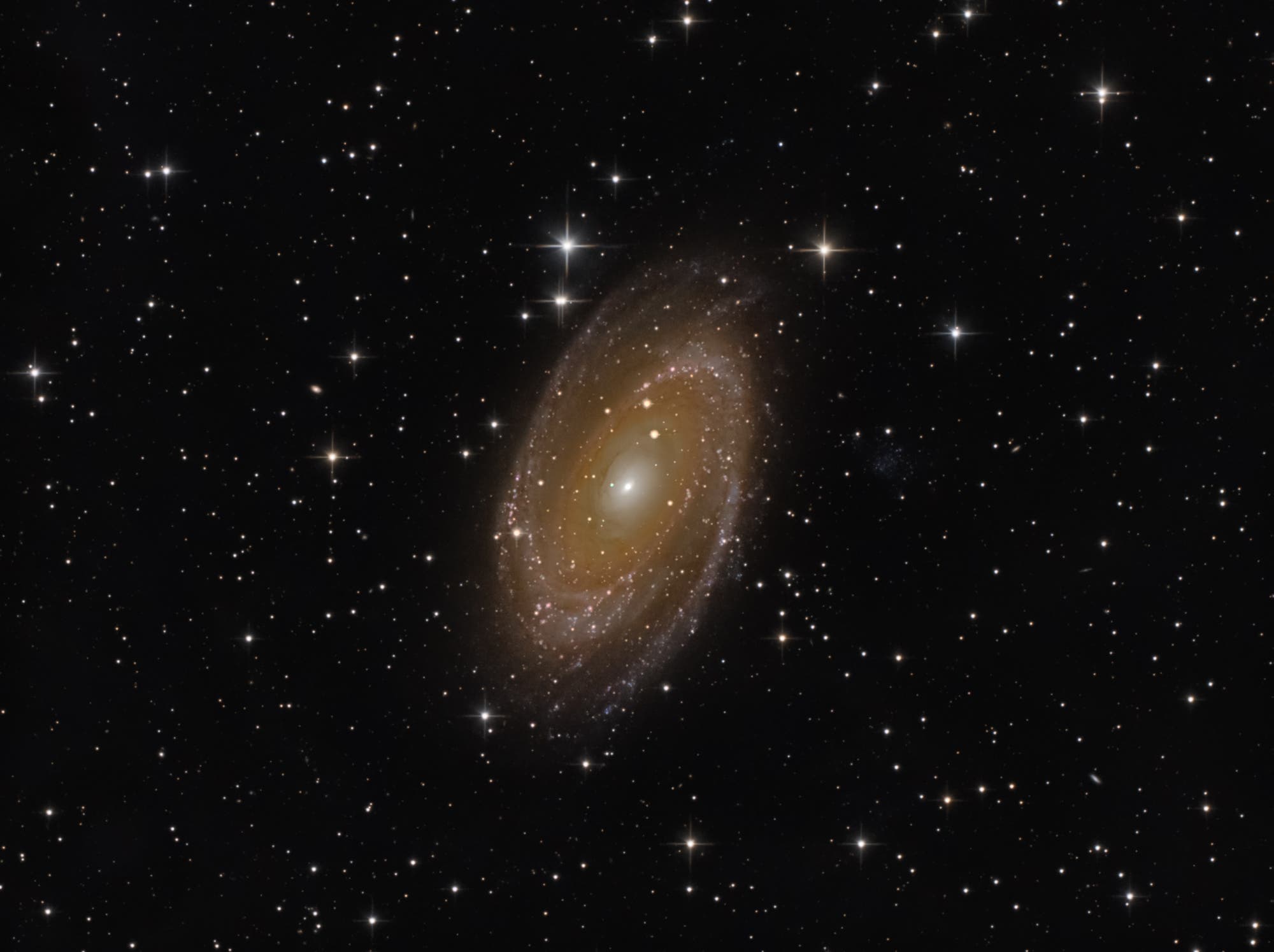 Messier 81