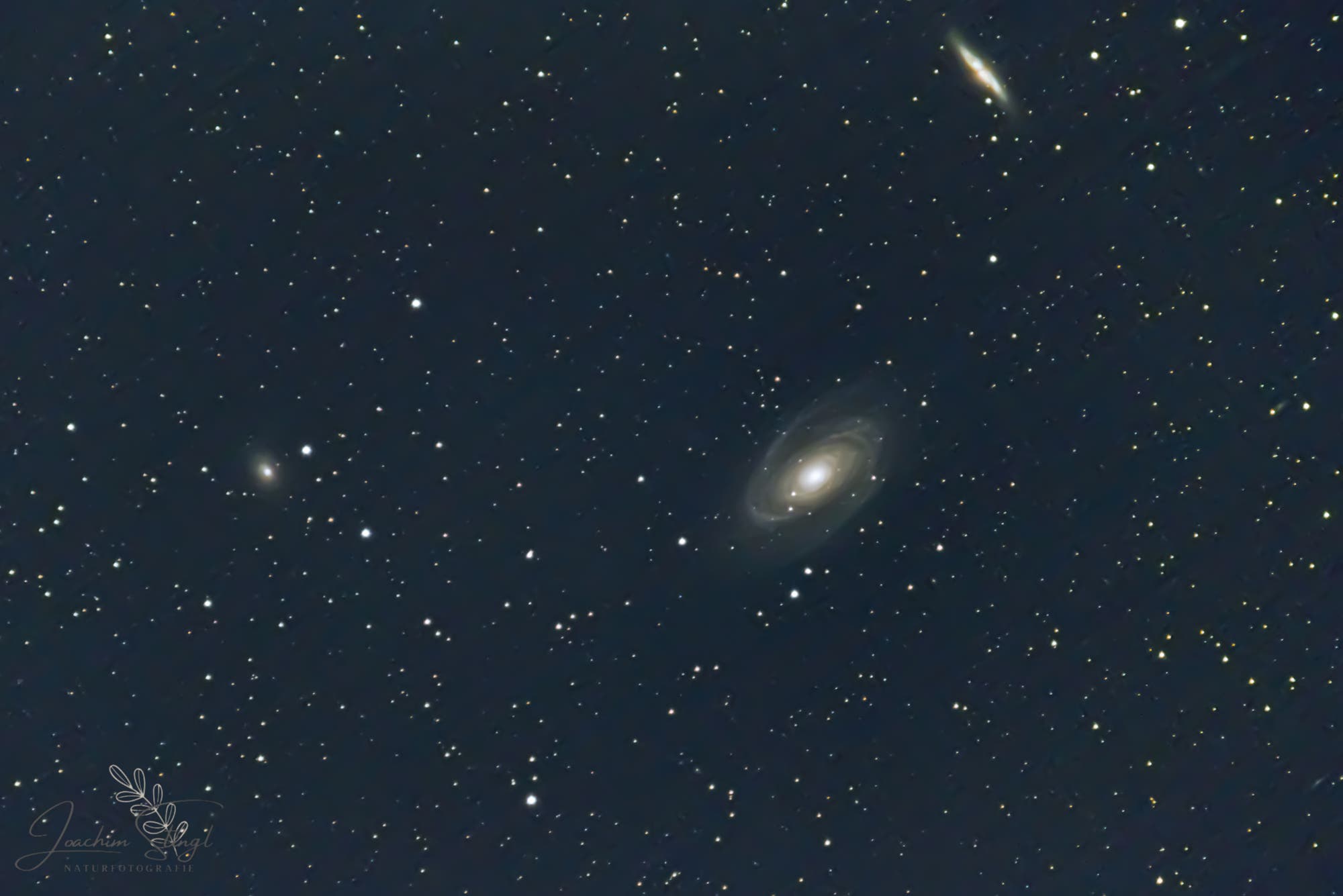 Galaxien Messier 81 und Messier 82