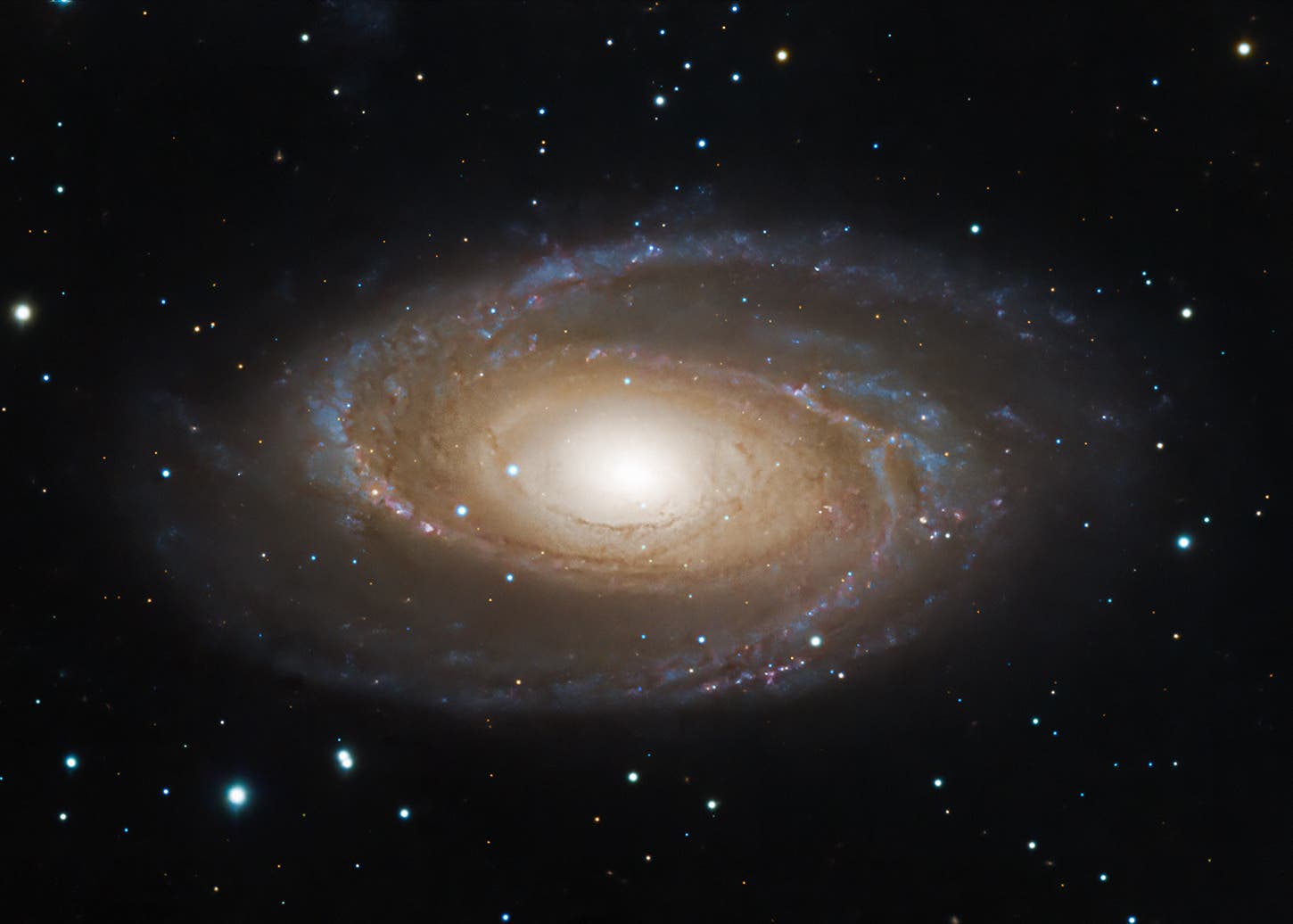M81 Bode's galaxy 