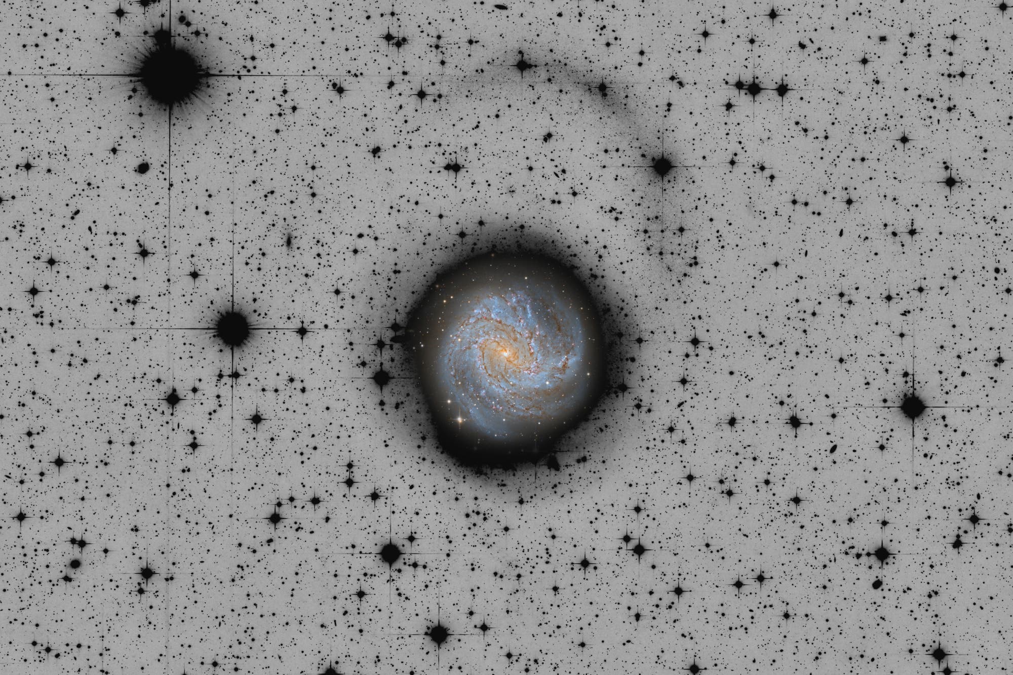 Messier 83 invertiert