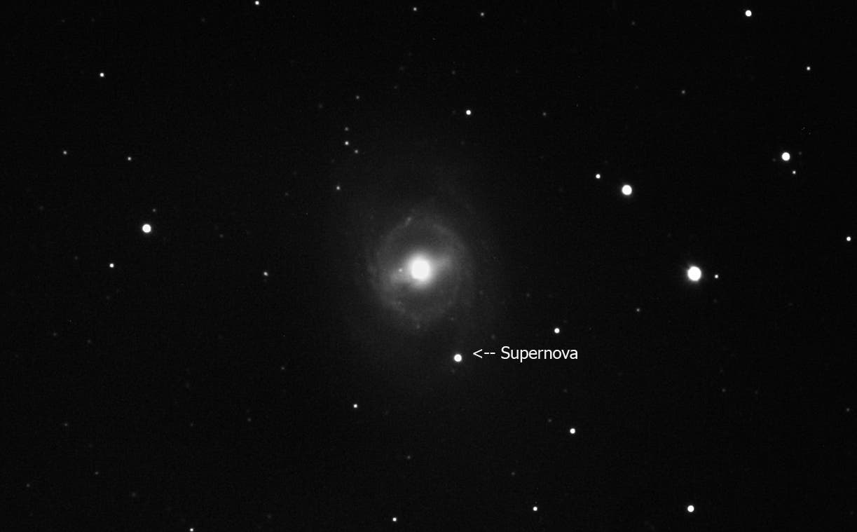 Supernova in M 95