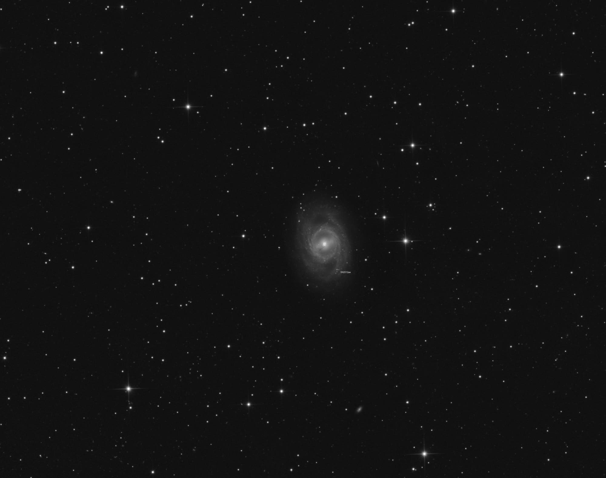 M 95 mit Supernova 2012aw