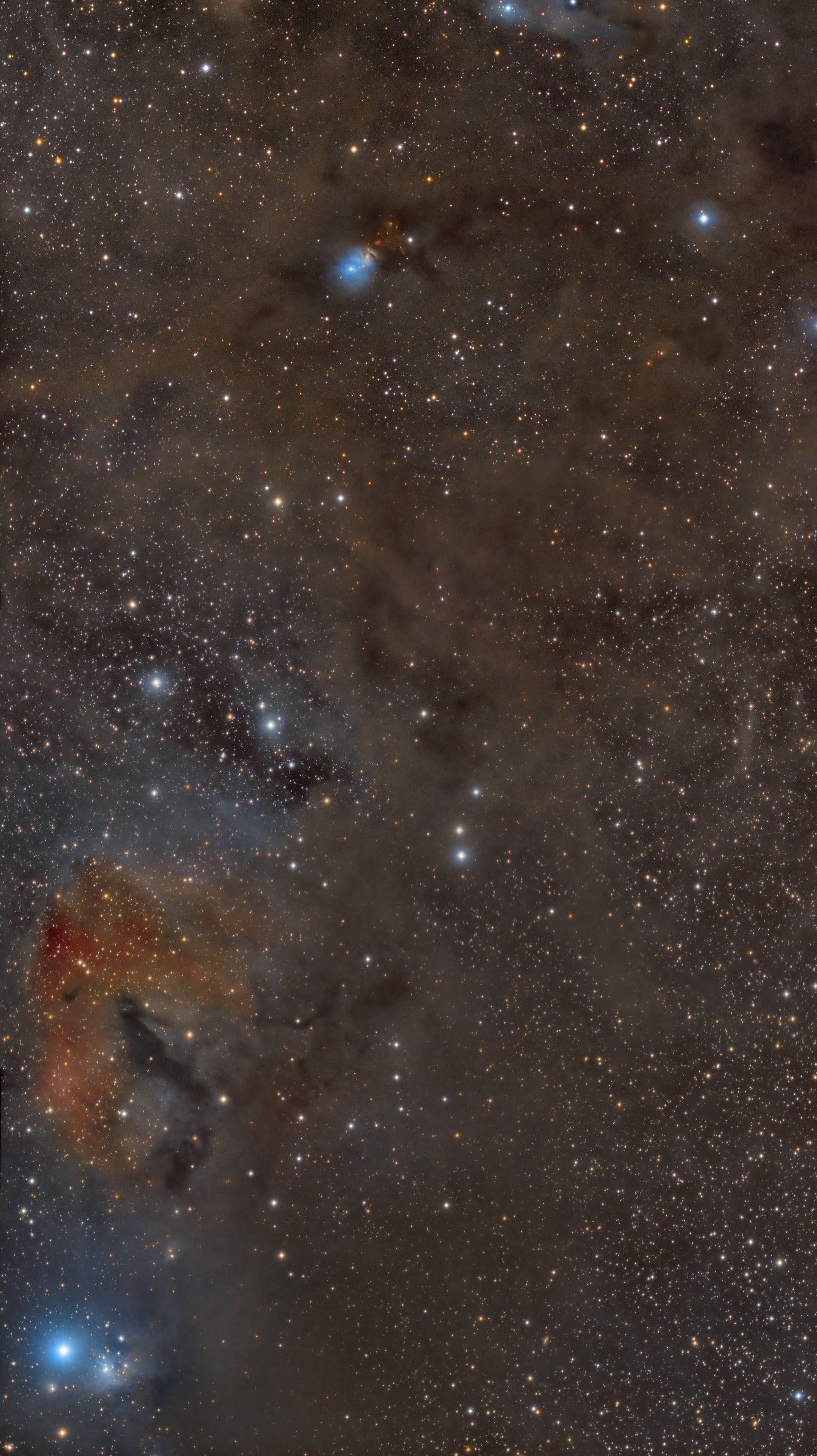 Mosaik von IC 348 zu NGC 1333