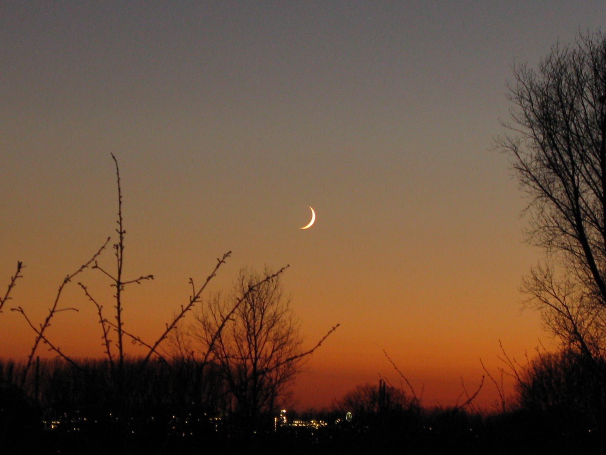 Mondsichel am 19.11.2009, erste Sichtbarkeit