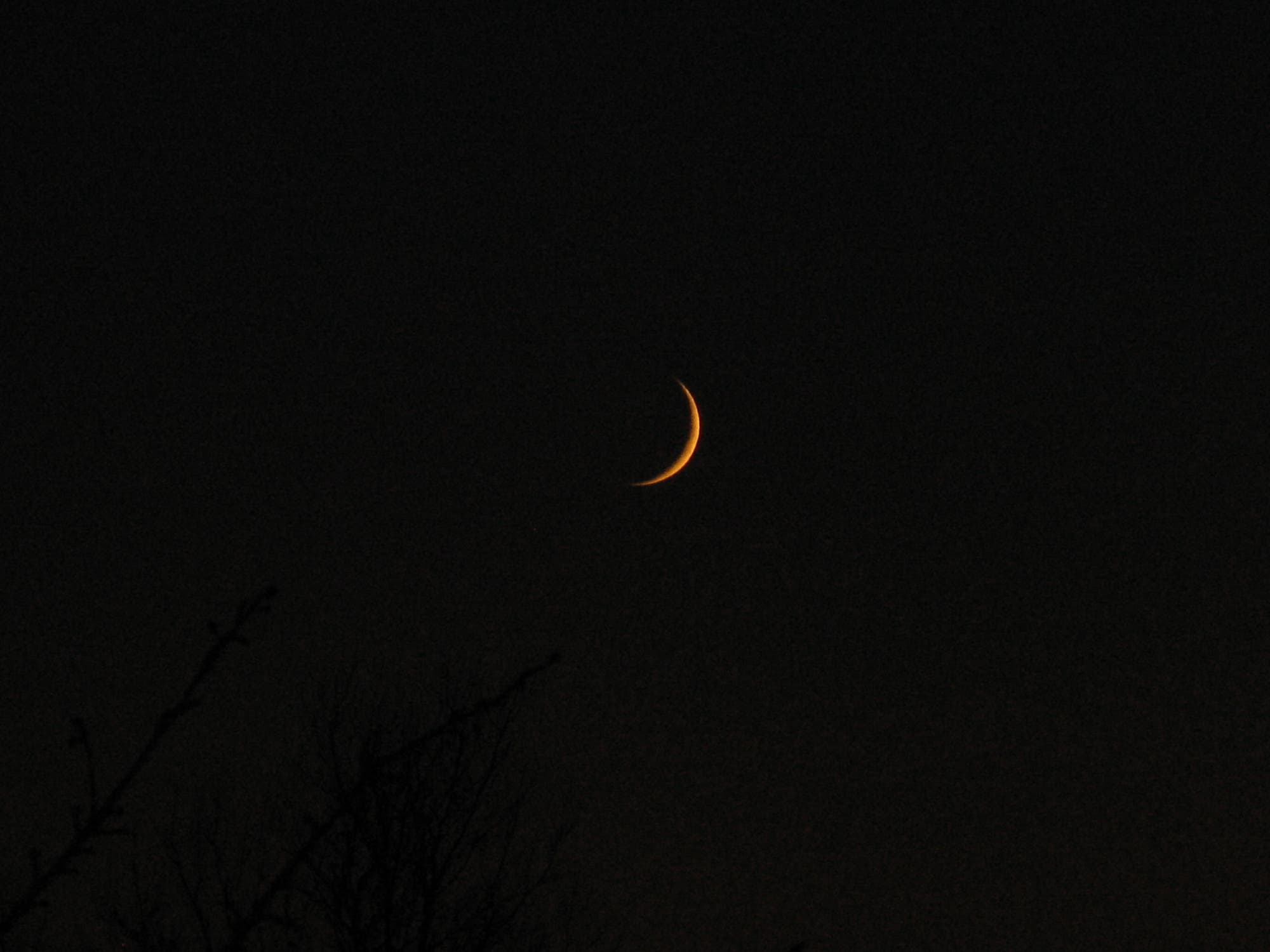 Mondsichel am 19.11.2009, erste Sichtbarkeit