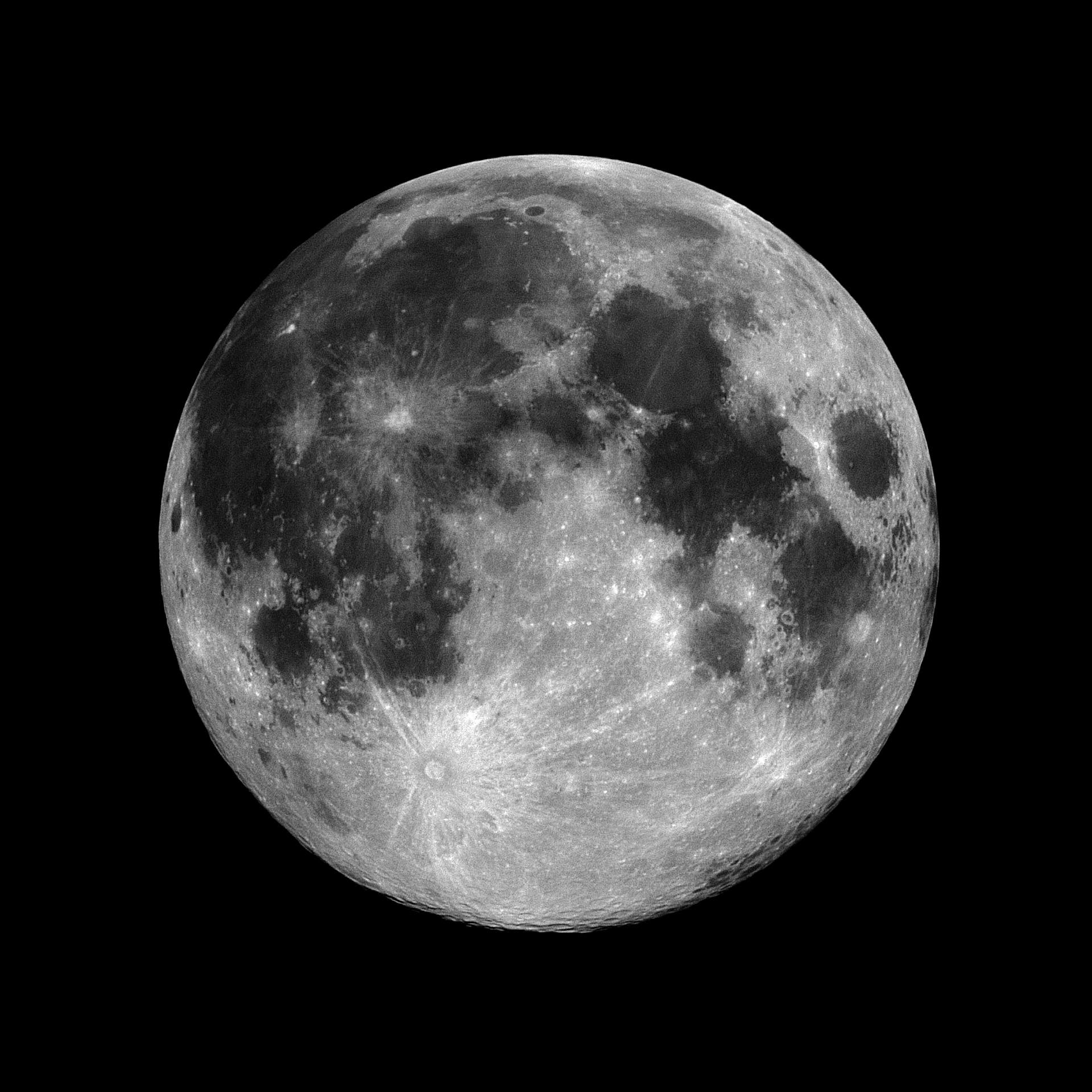 Wolfsmond im nahen Infrarot