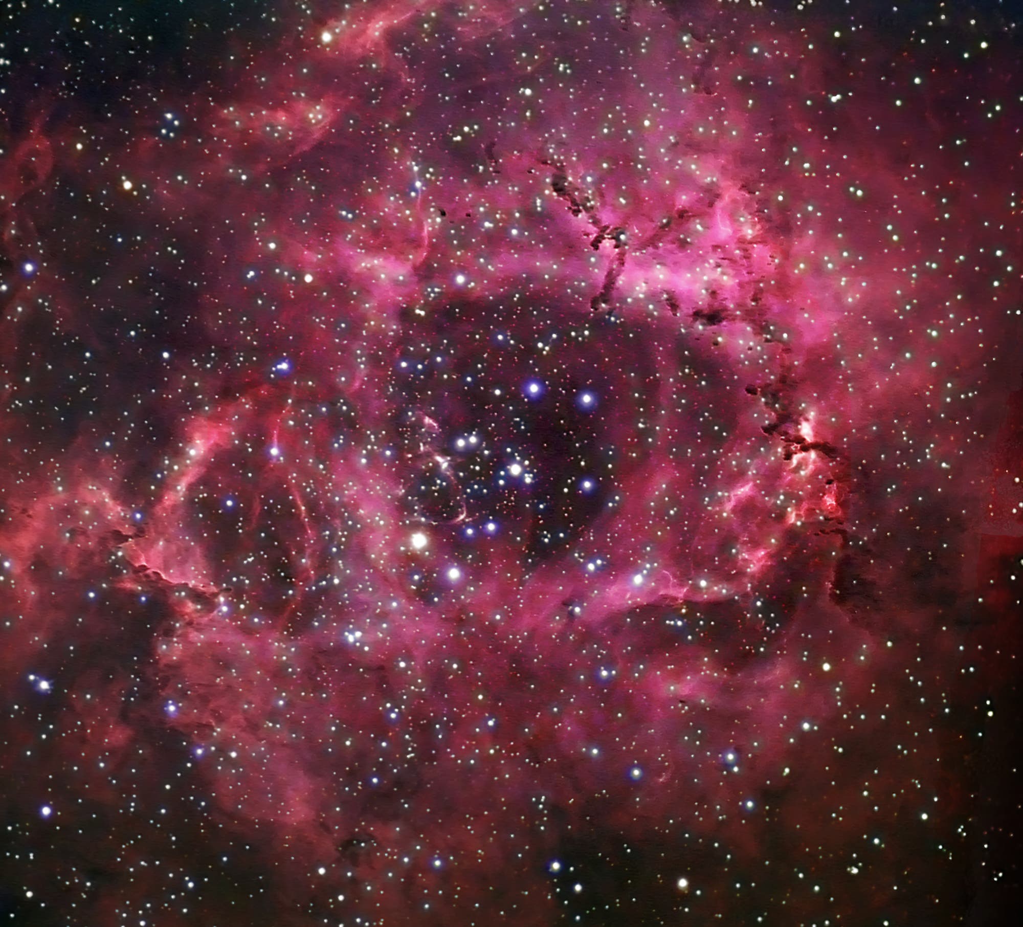 NGC 2244 und Rosettennebel