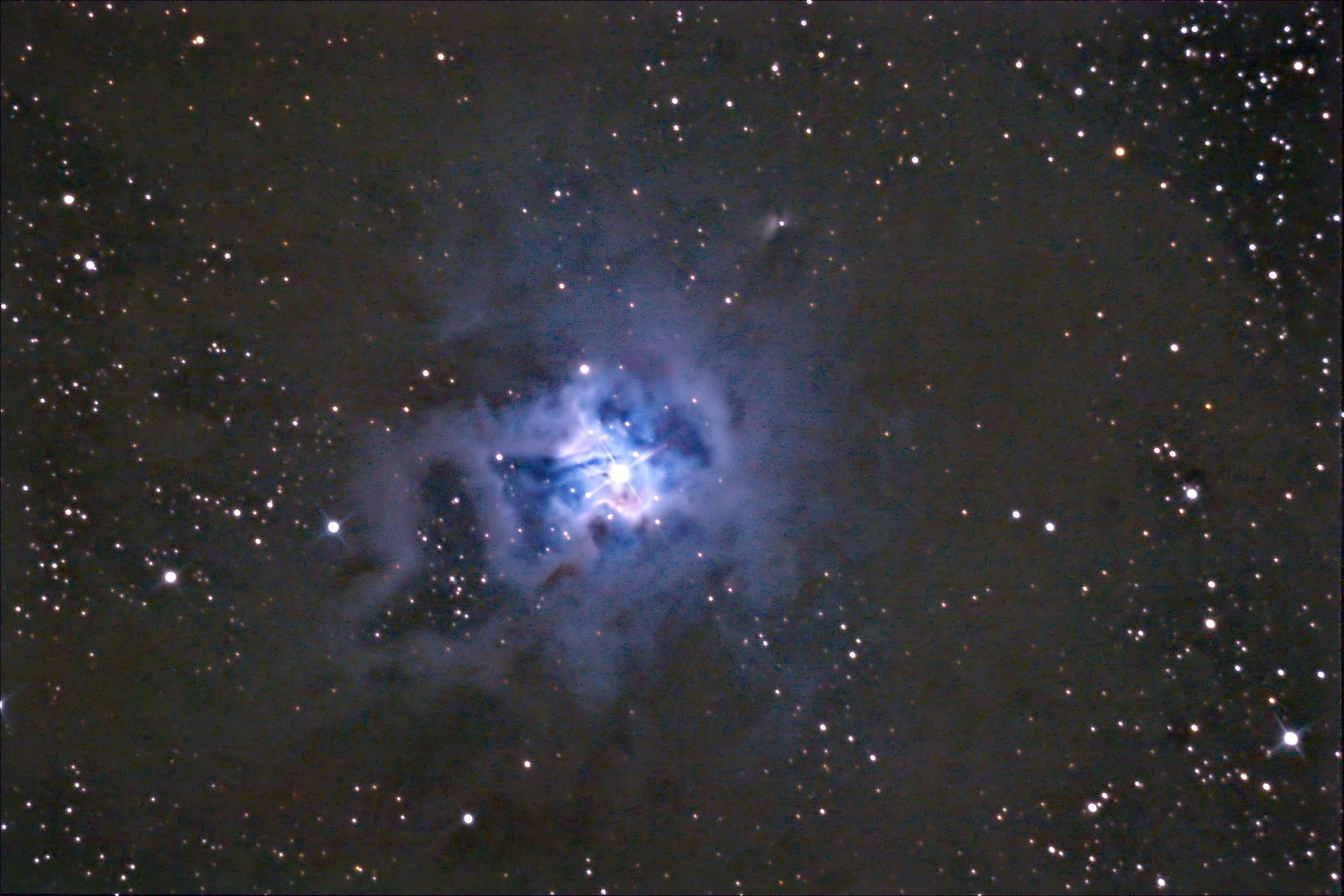 NGC 7023  Irisnebel