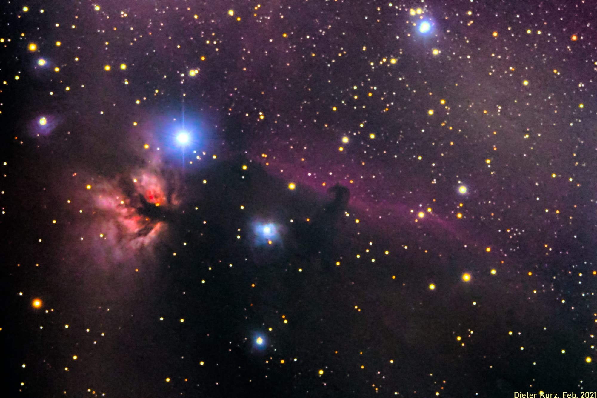 Pferdekopfnebel, B33  - Flammennebel, Flammender Baum, NGC 2024