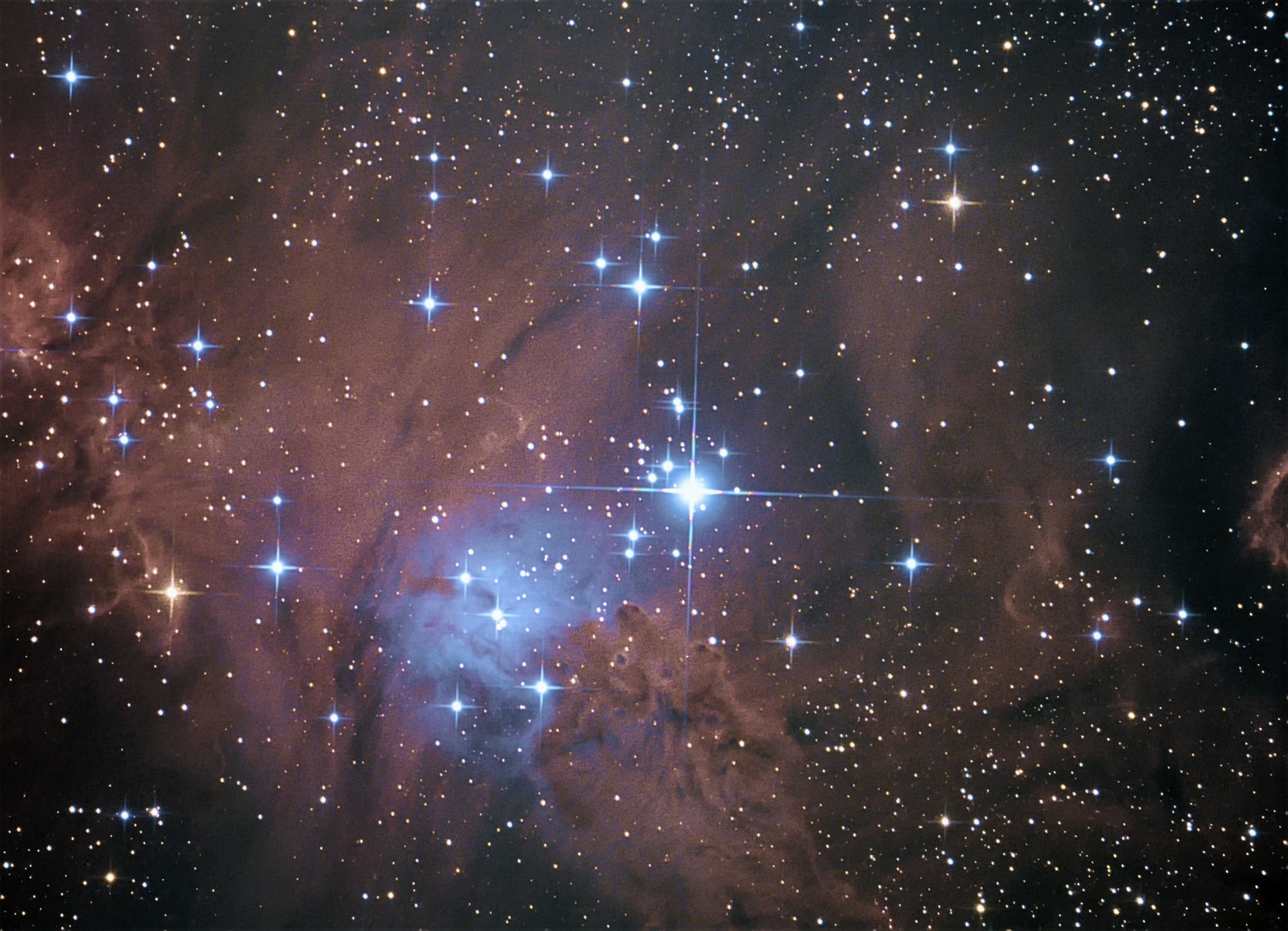 Weihnachtsbaum-Haufen NGC 2264