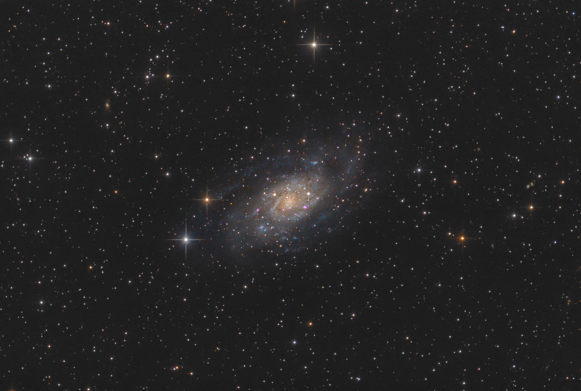 NGC 2403 - Galaxie in der Giraffe