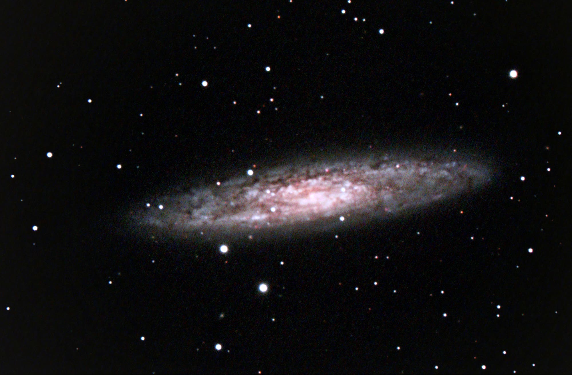 NGC 253 Sculptorgalaxie