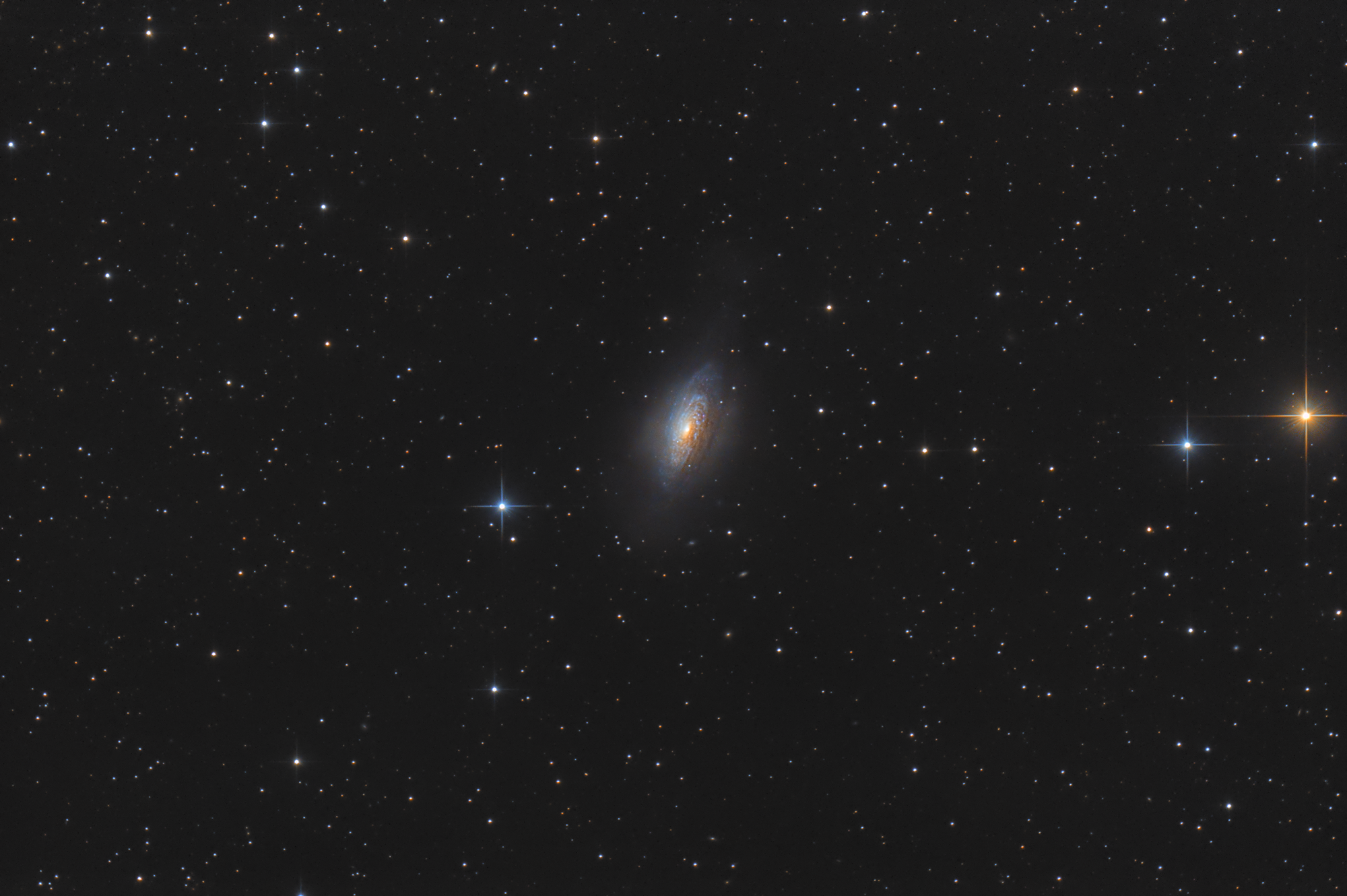 NGC 3521 - Galaxie im Löwen