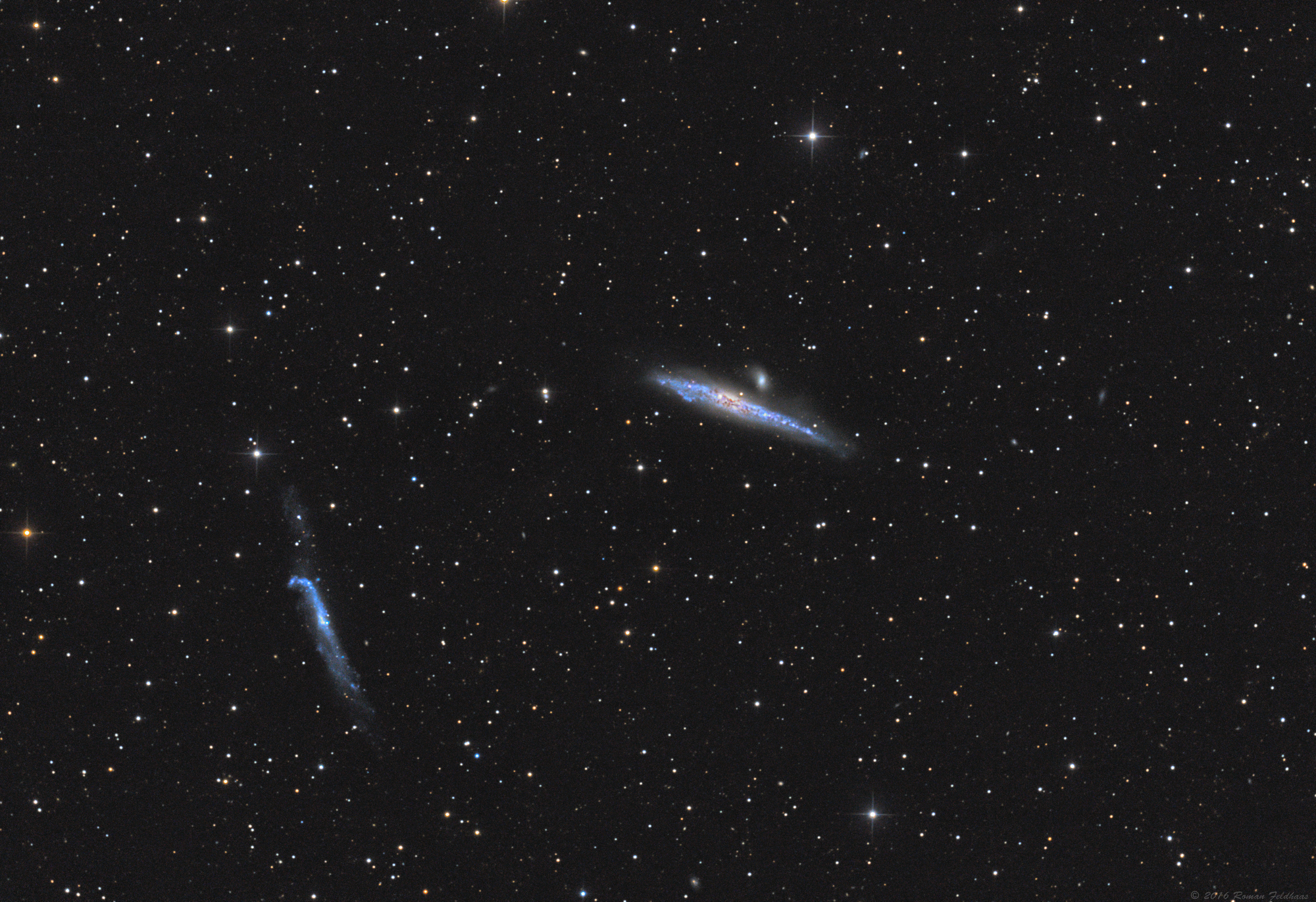NGC 4656/57 (Hockey Schläger) & NGC 4631 (Walgalaxie)