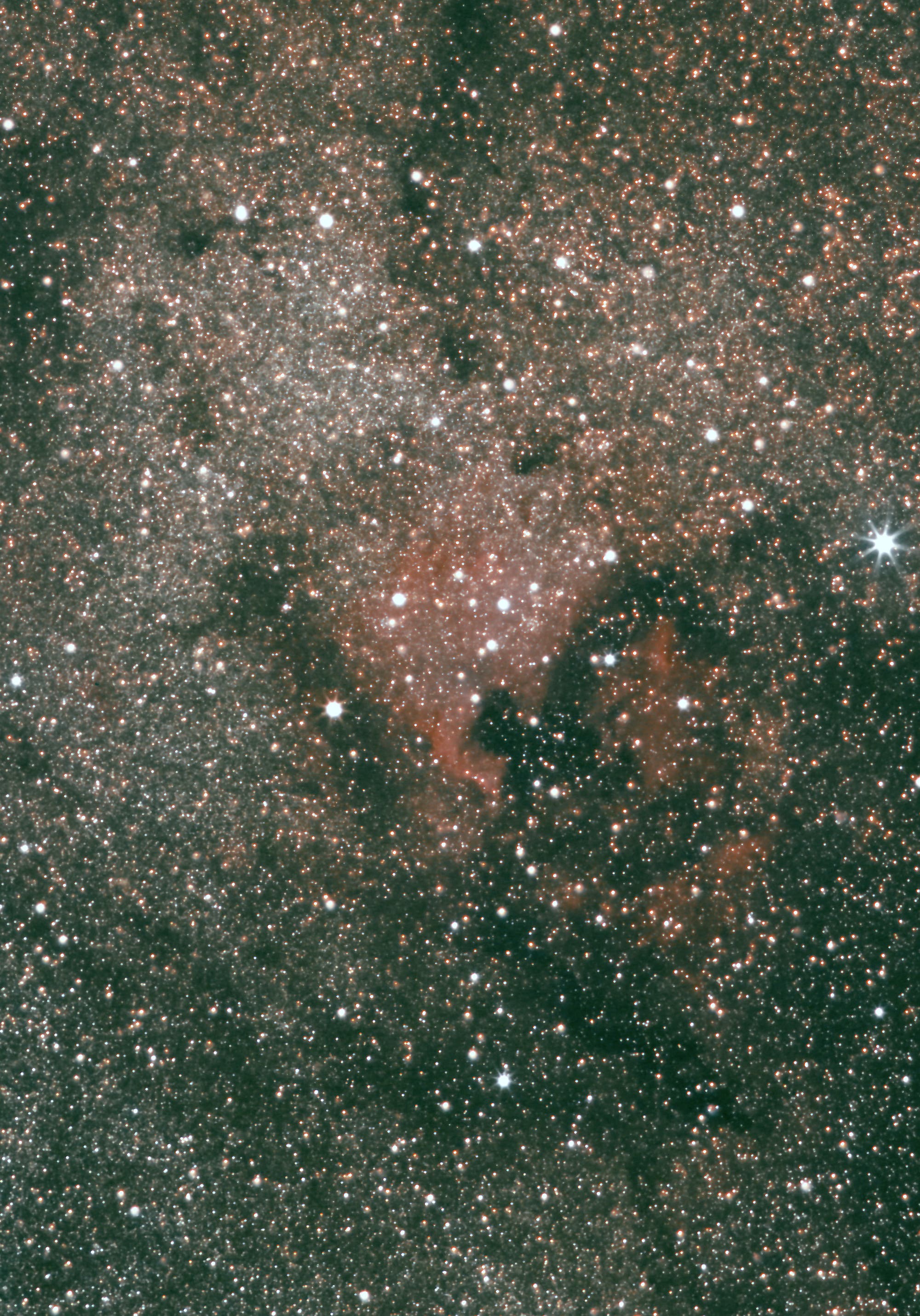 NGC 7000 - Ausschnittvergrößerung