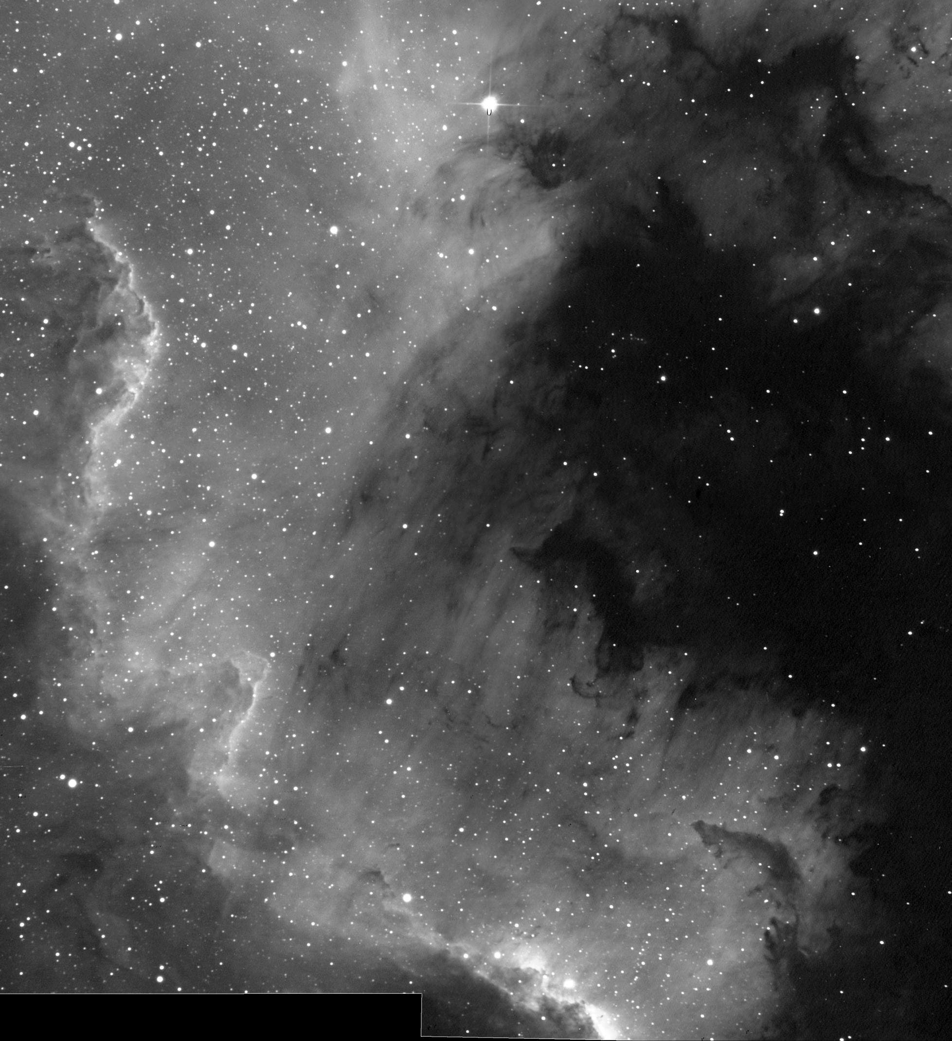 NGC 7000-Mosaik