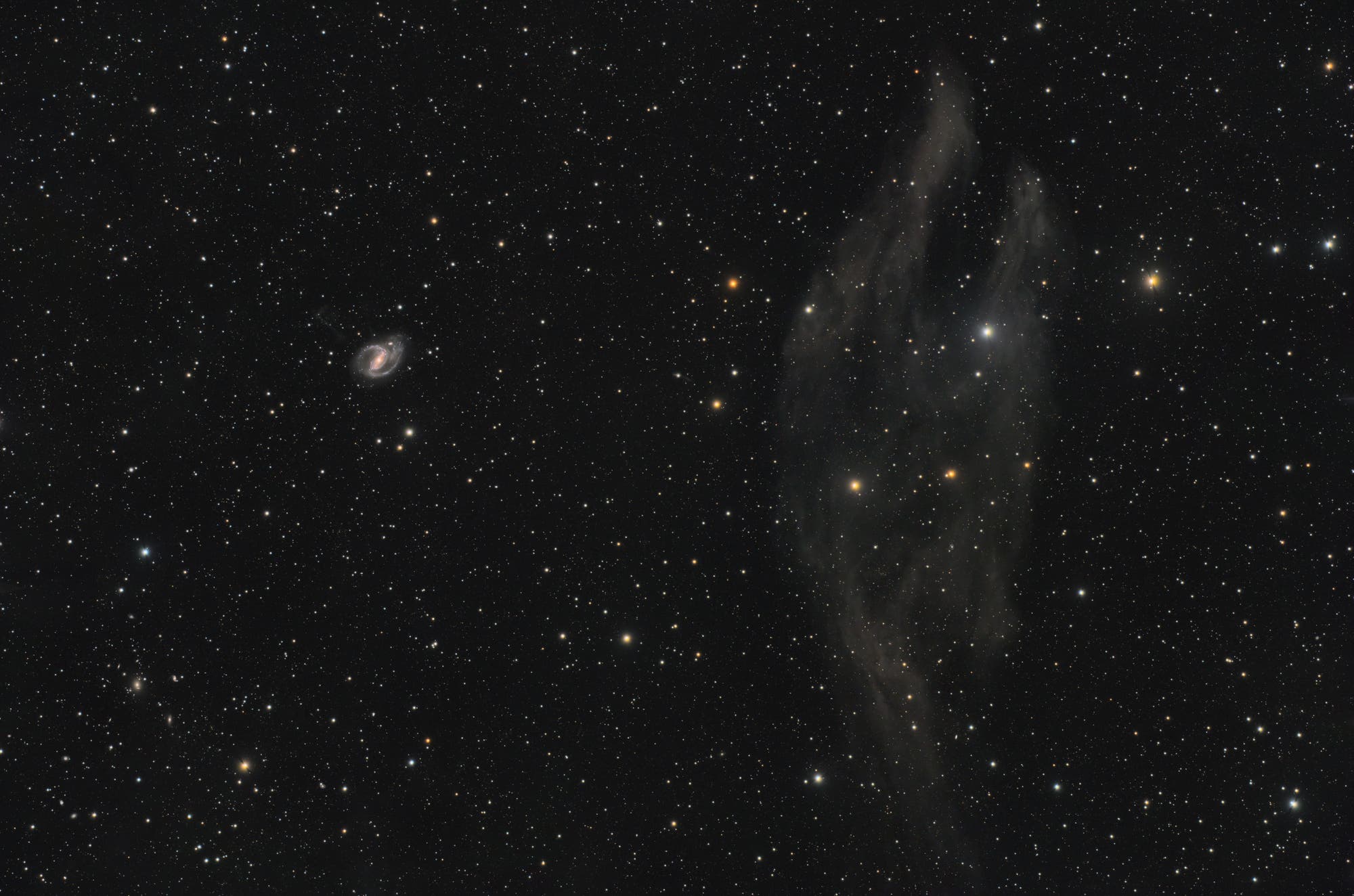 NGC 1097 und ein Plattfisch