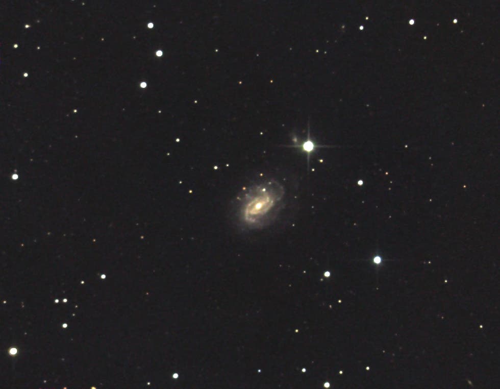 NGC 1187 - eine Balkenspirale im Eridanus (1)