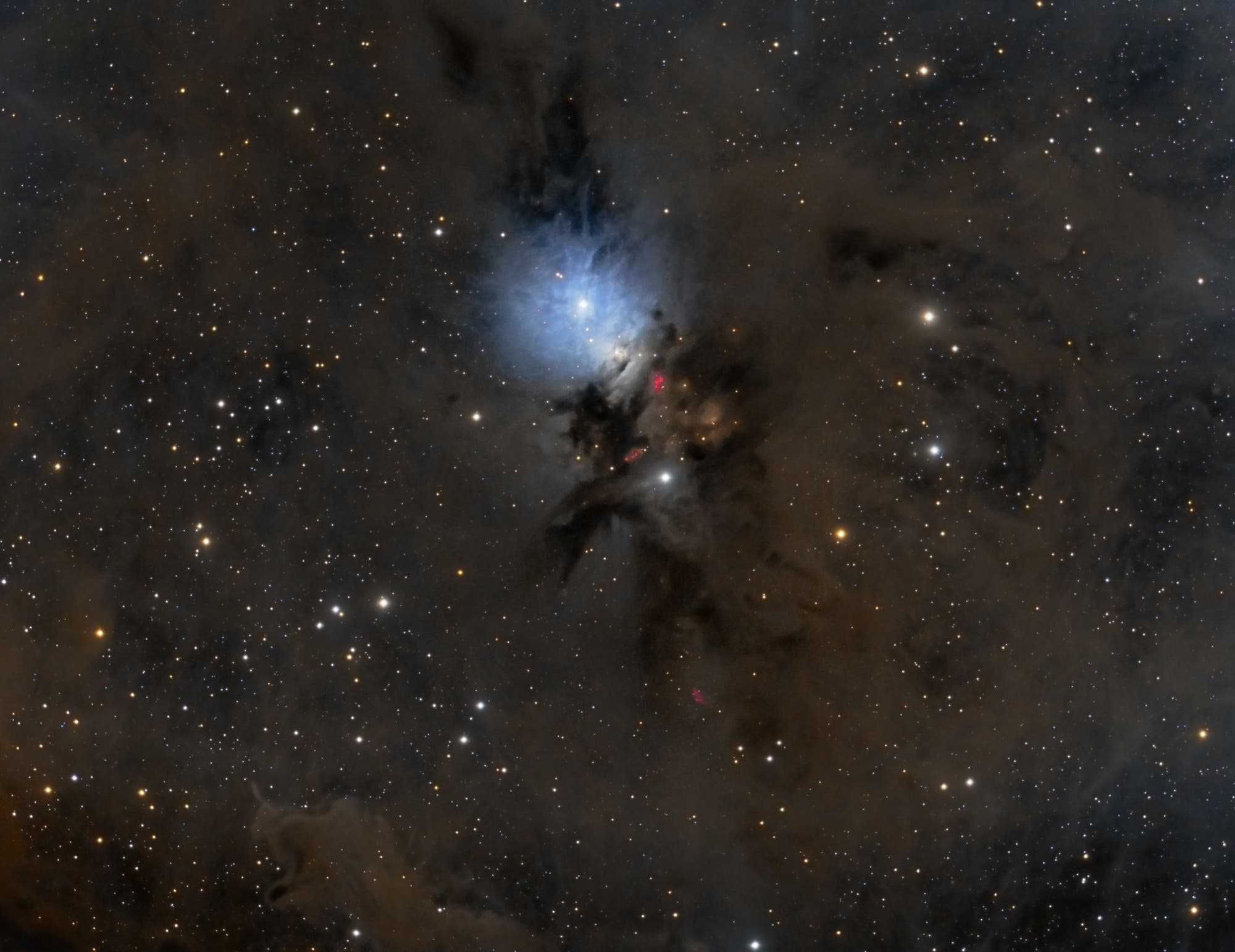 NGC 1333 im Staub