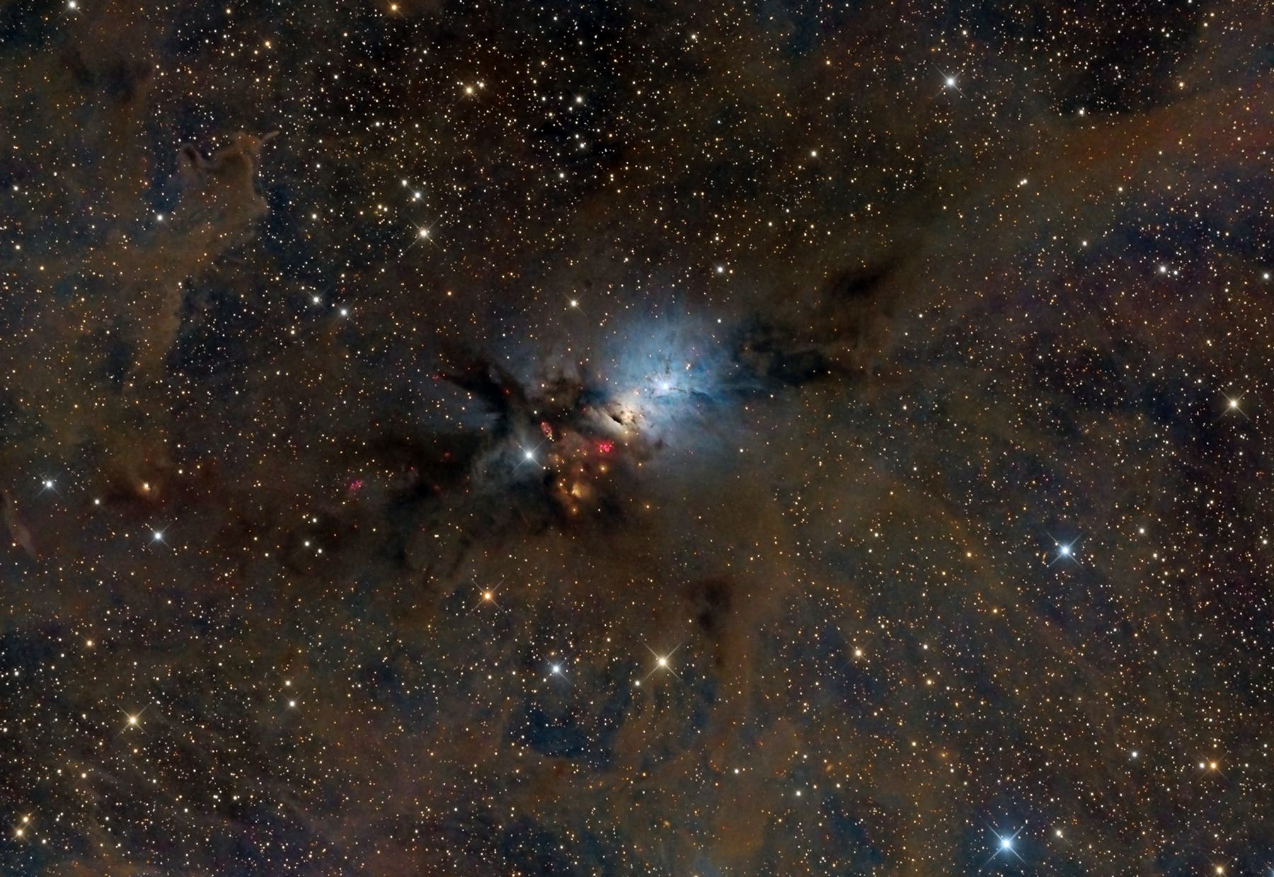 Die Reflexionsnebel NGC 1333 im Perseus 