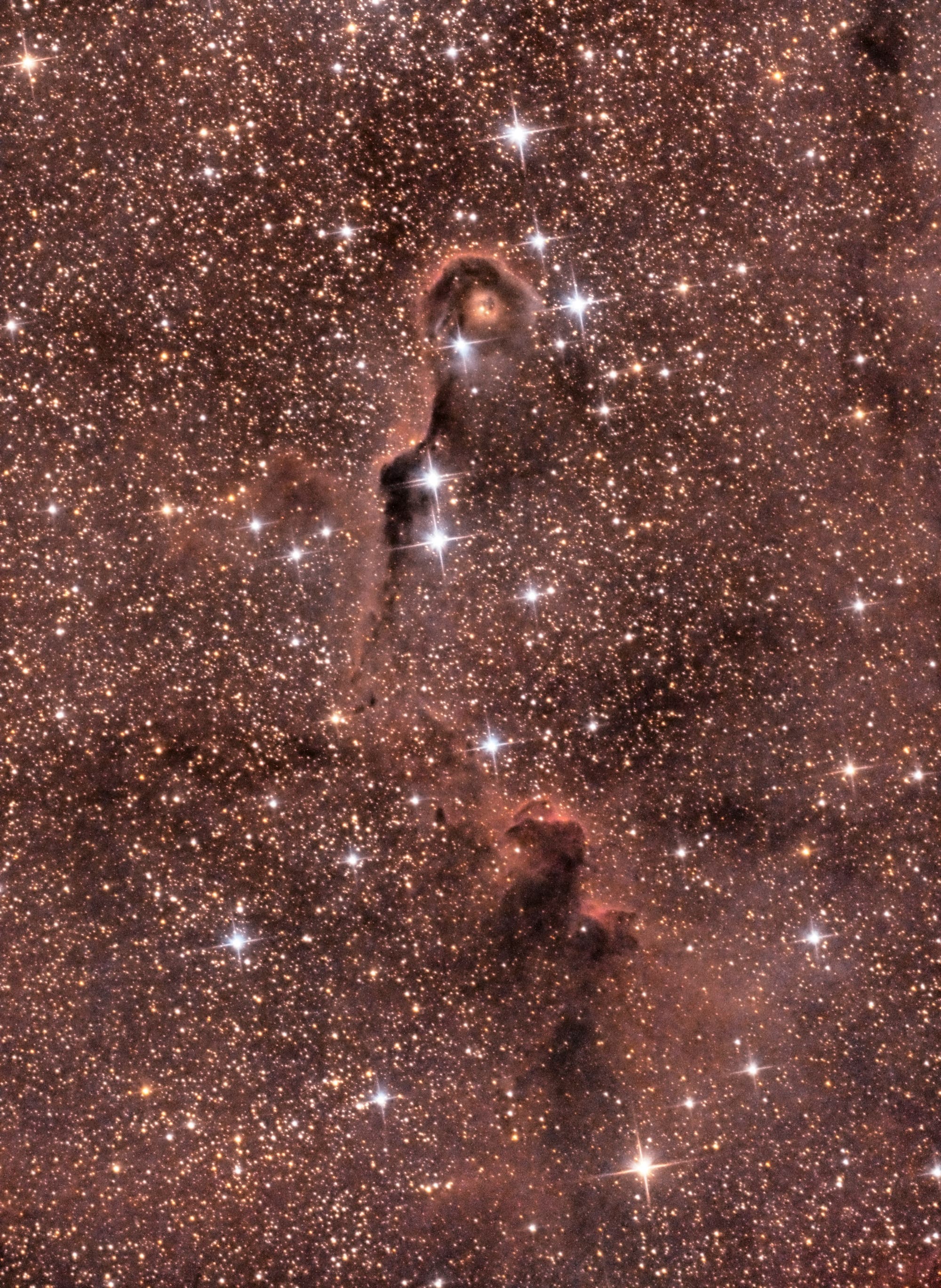Elefantenrüsselnebel IC 1396A