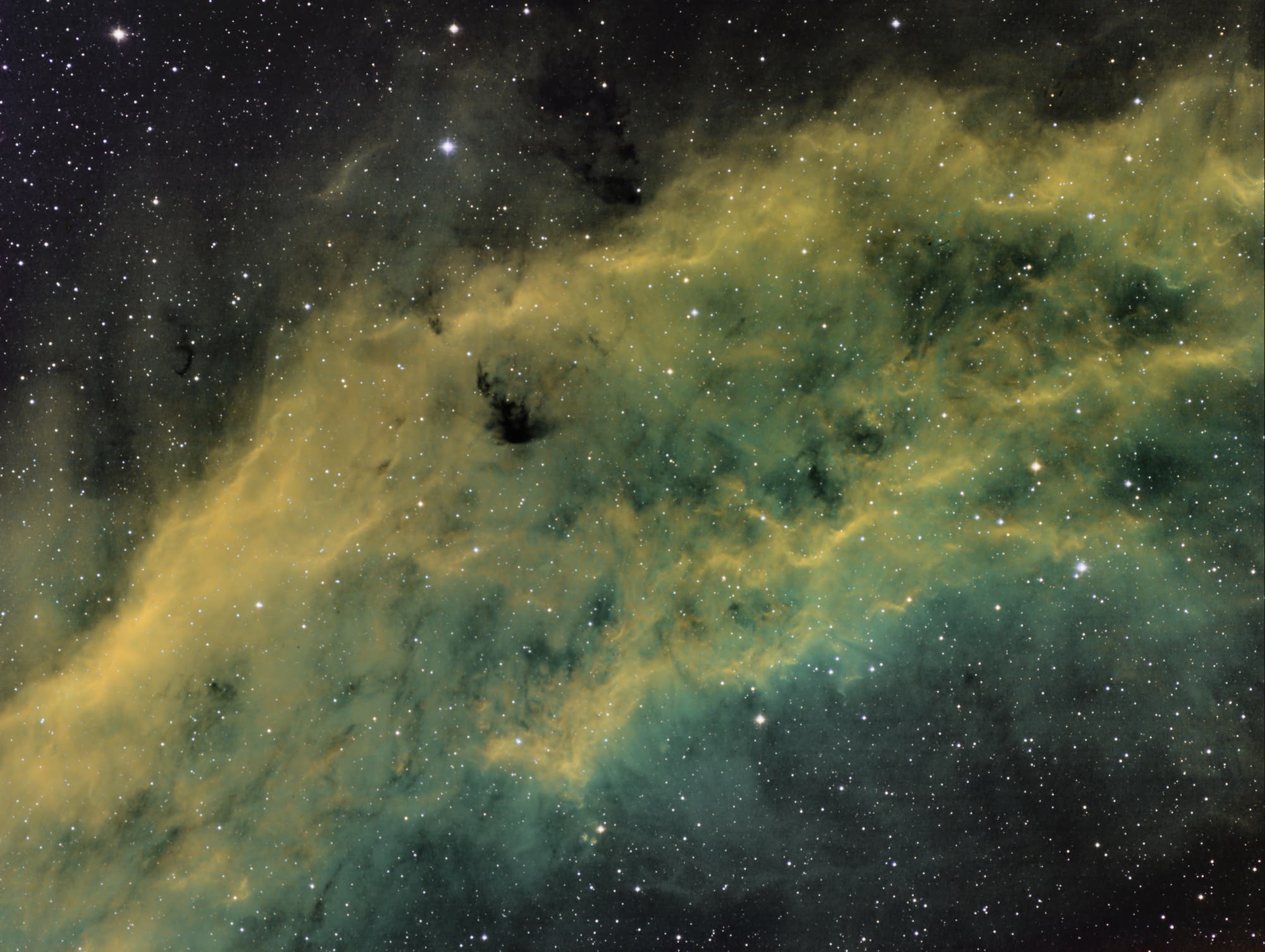 NGC1499 in Falschfarben