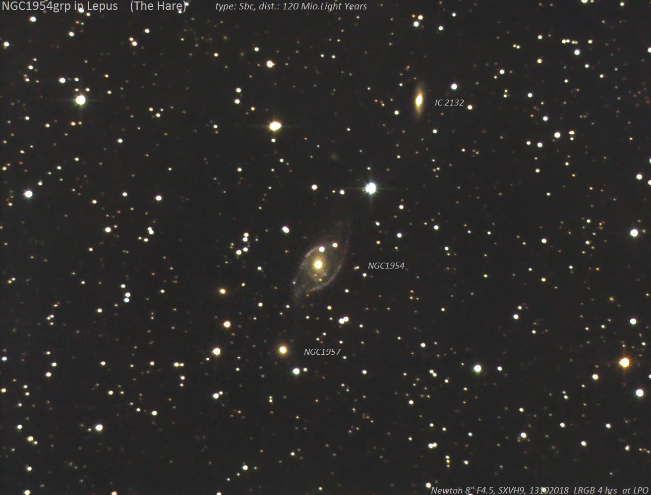 NGC 1954 group in Lepus