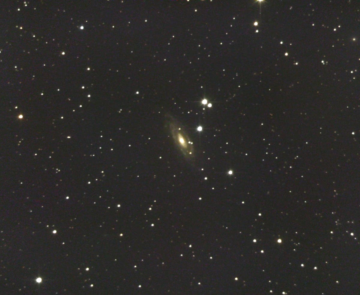 NGC 1964 - eine Seyfert-Galaxie im Sternbild Hase